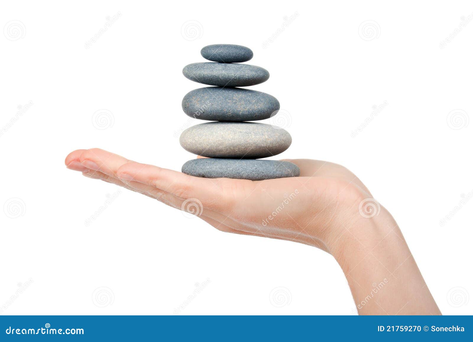 balance-nature-21759270.jpg