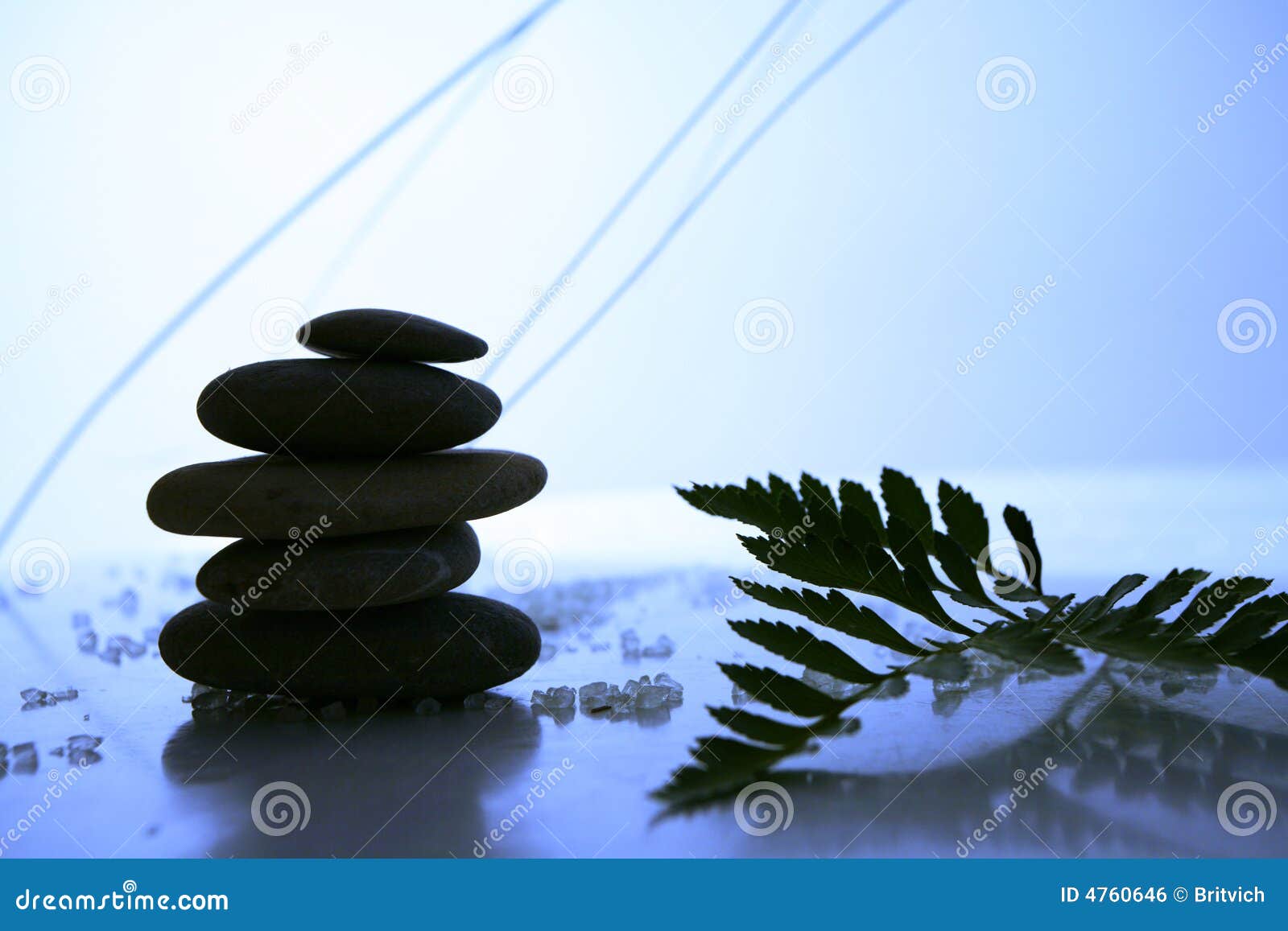 Balance in the Nature stock photo. Image of cosmetic, balance - 4760646