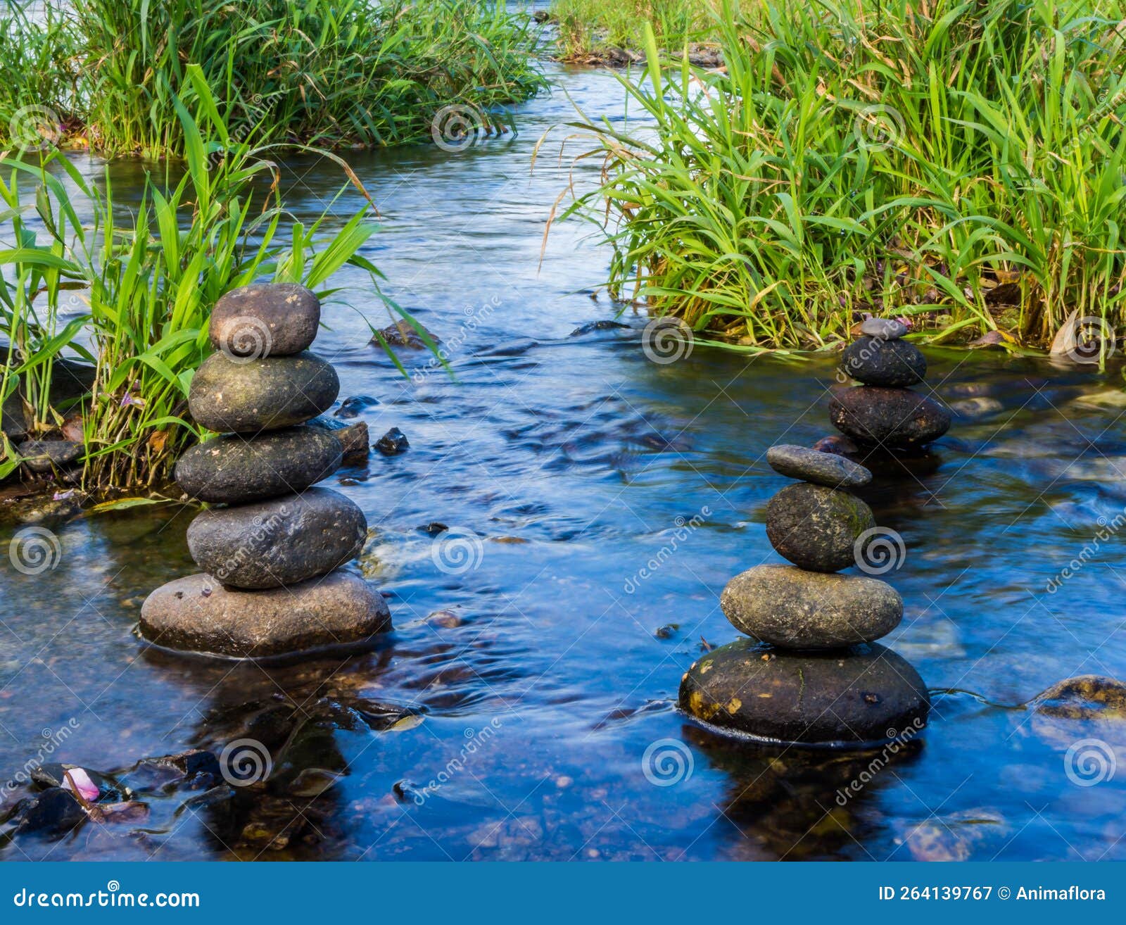 Balance Stone in a River 01 Stock Image Image of abstract, body 264139767