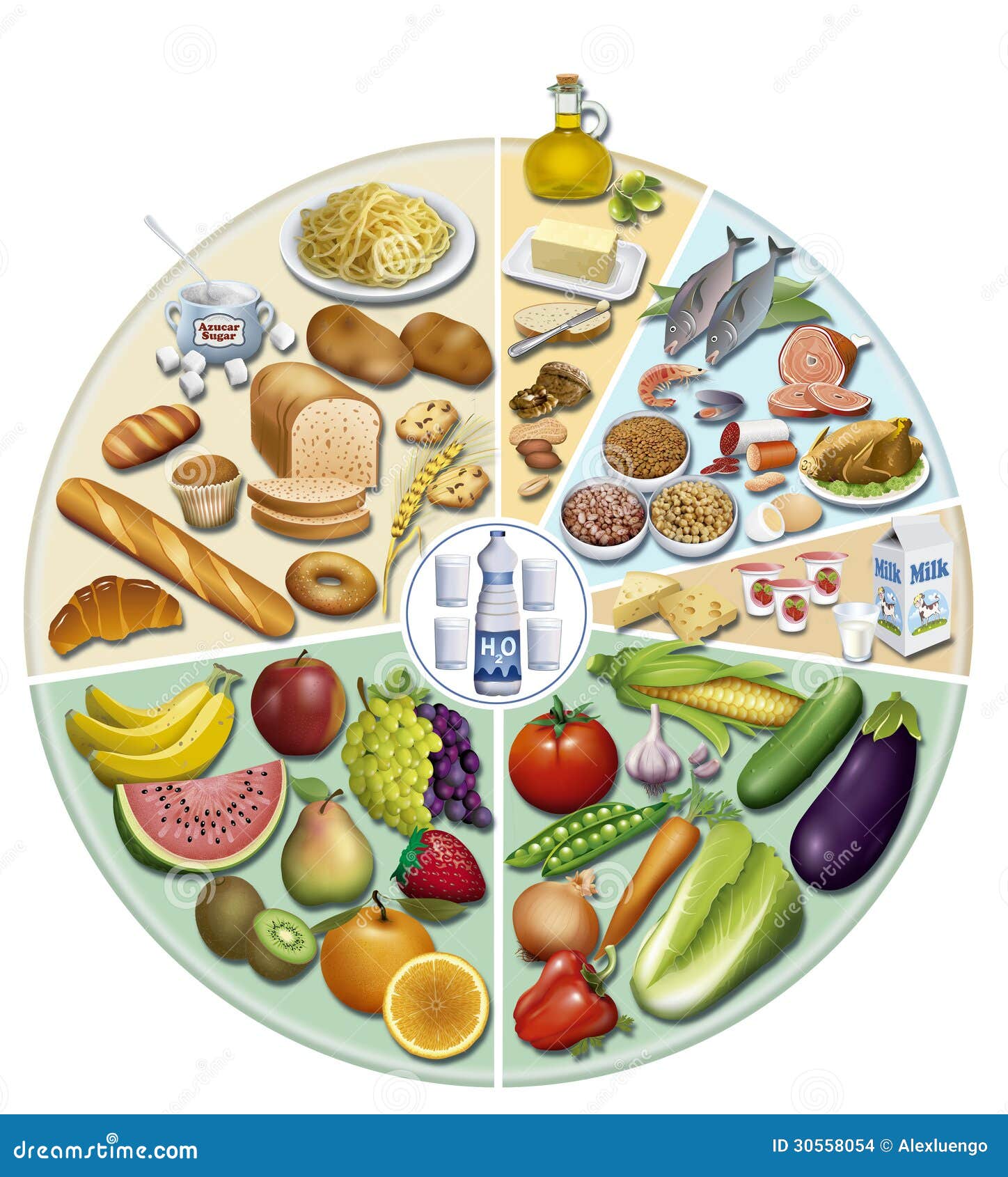 Balanced diet stock illustration. Illustration of cabbage - 30558054