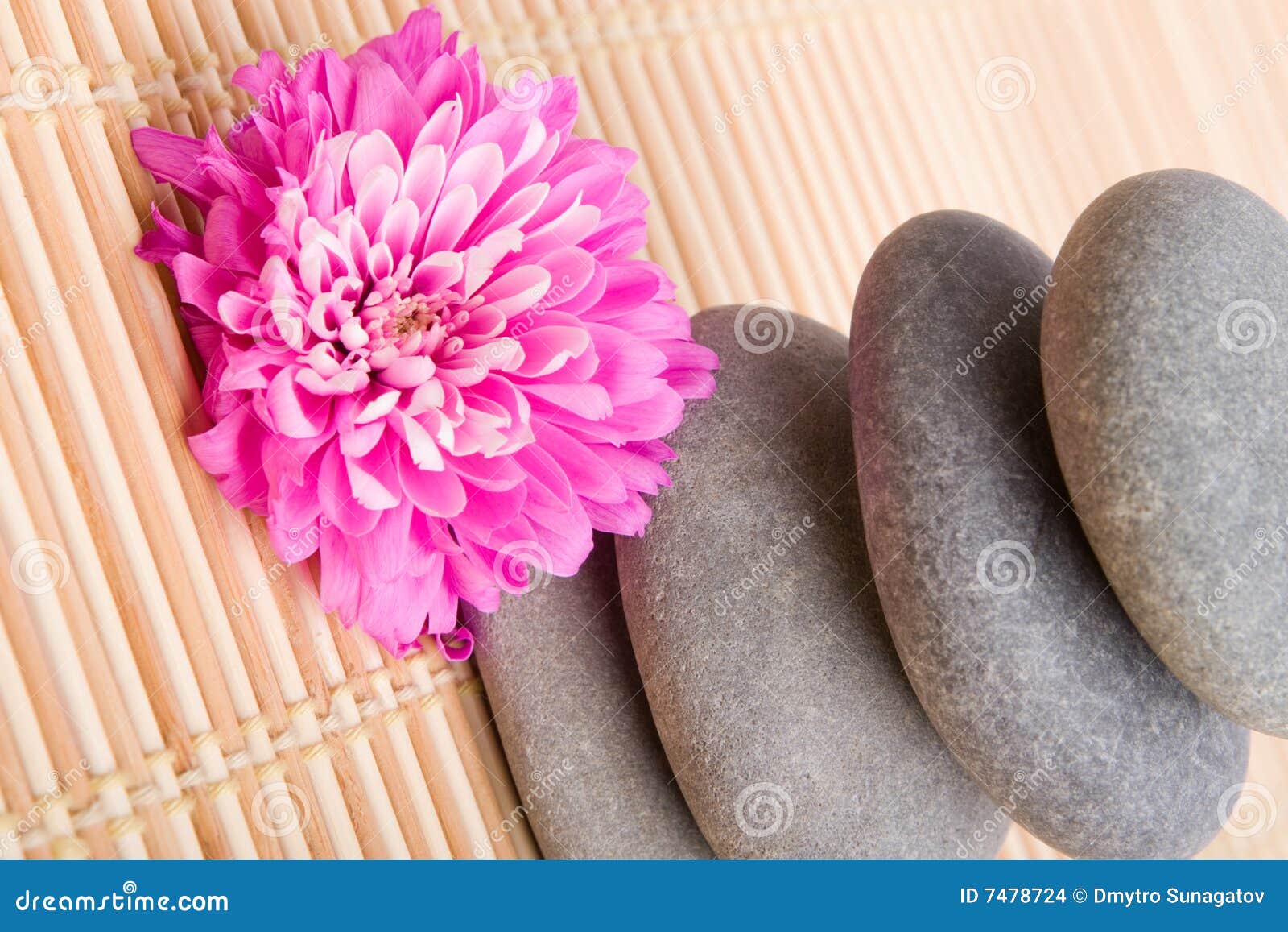 Balanced Stones with Flower Stock Photo Image of flower, isolated