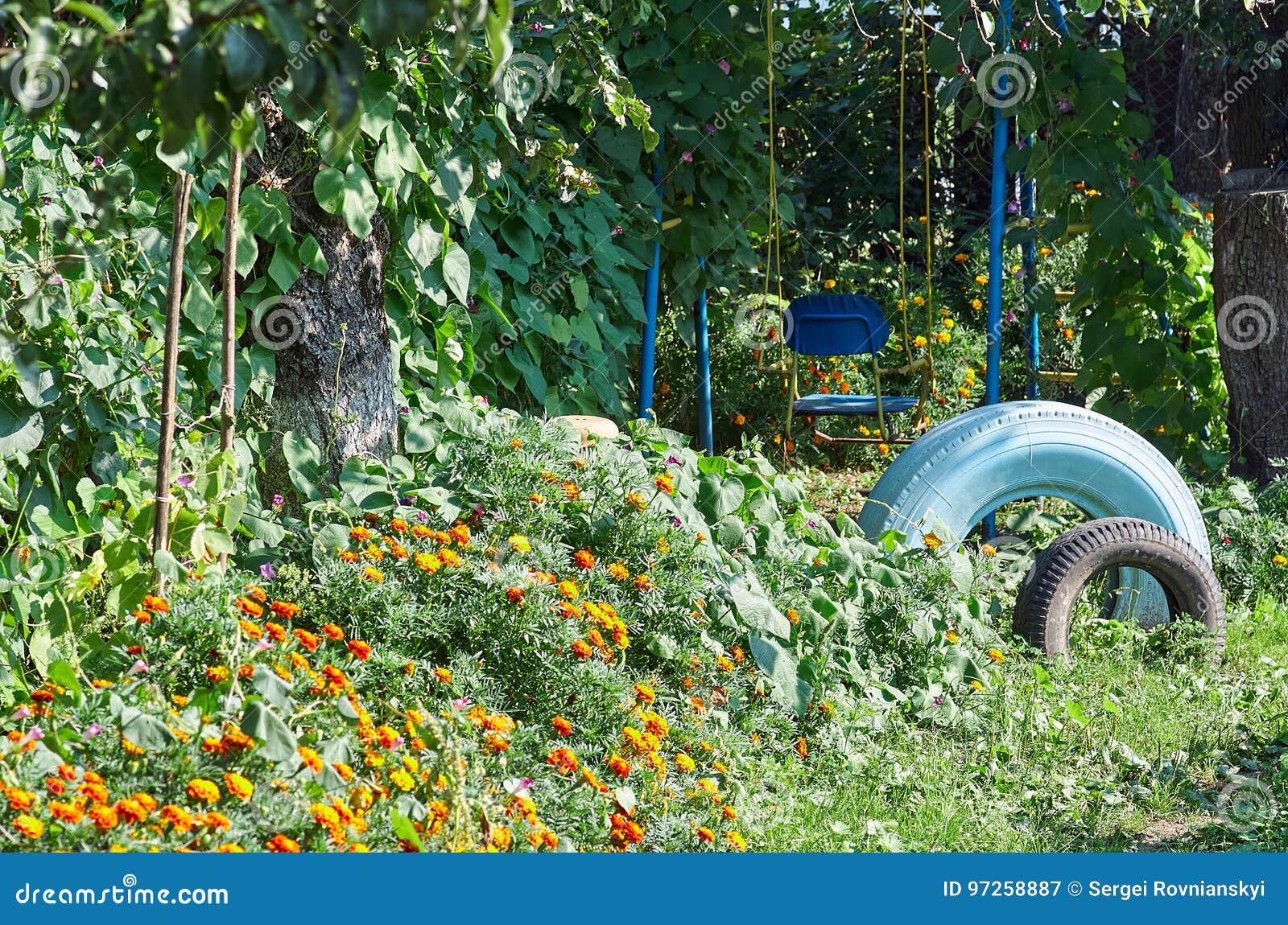 Balanço velho entre flores em um jardim com pneus pintados. Balance e coloriu pneus no jardim do verão contra o contexto da flor das flores O cravo-de-defunto de florescência no jardim