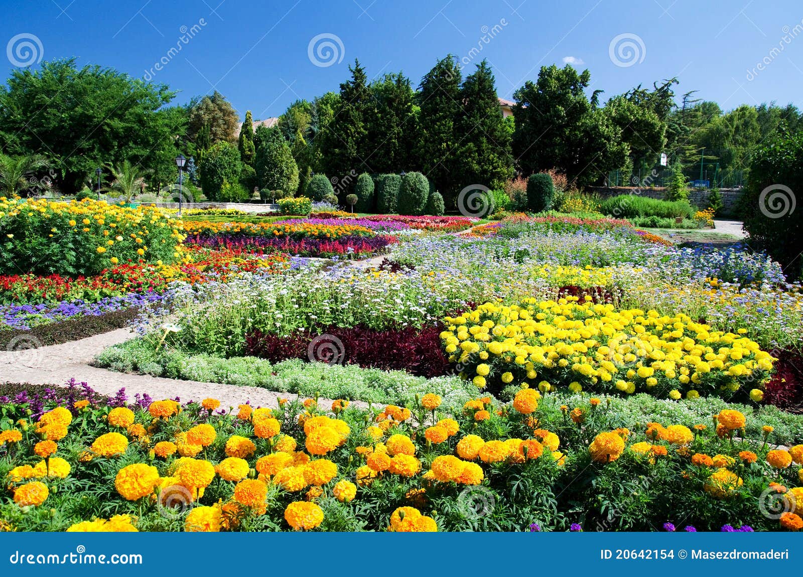 Balchik Botanical Garden stock photo. Image of queen 20642154