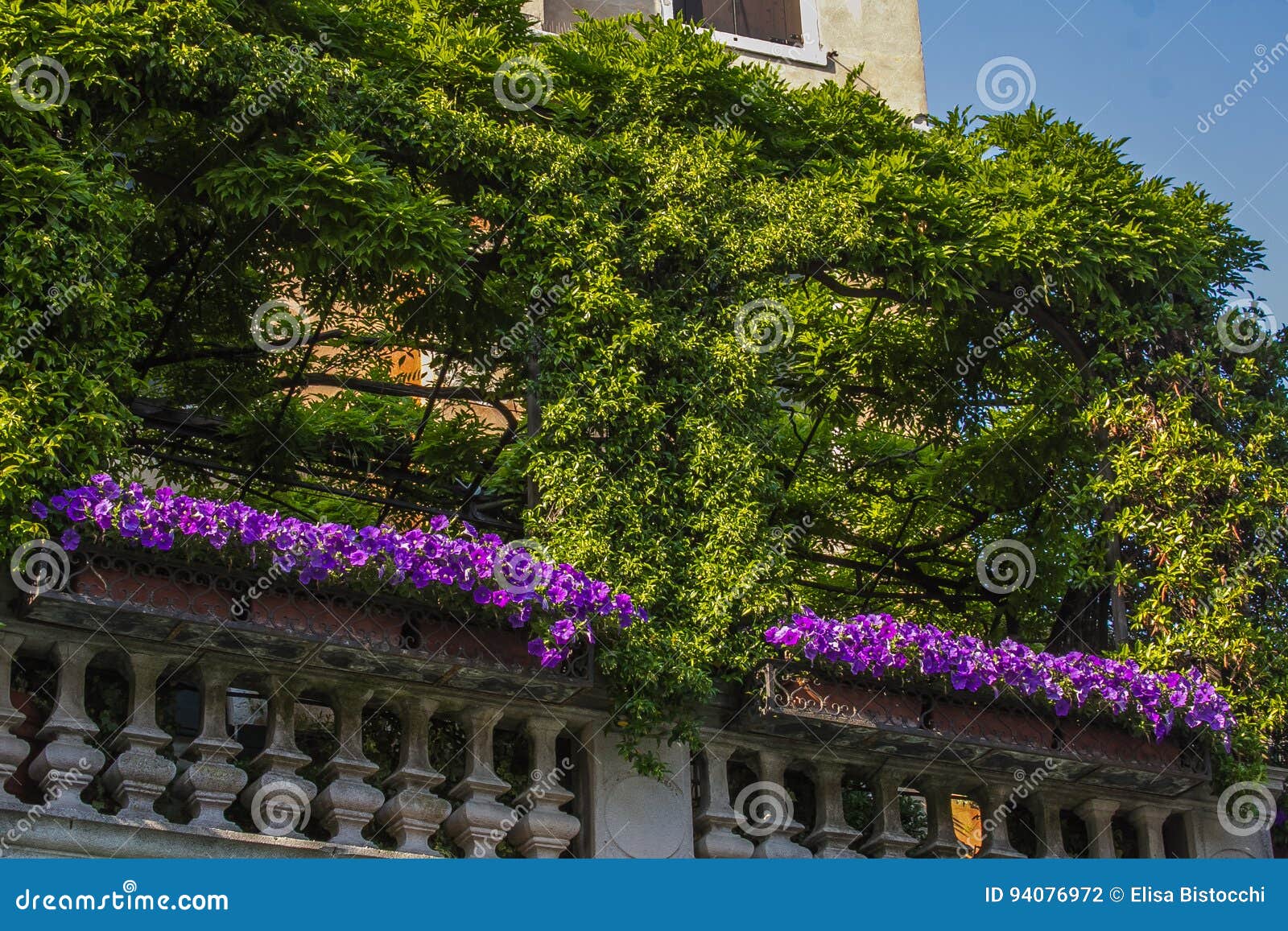 Balcon Romantique Avec Les Fleurs Violettes Au Centre De Venise Photo stock  - Image du bleu, beau: 94076972