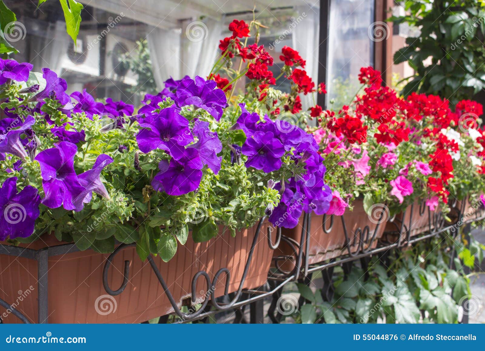 Balcony Flower Boxes Filled with Flowers Stock Photo Image of floral