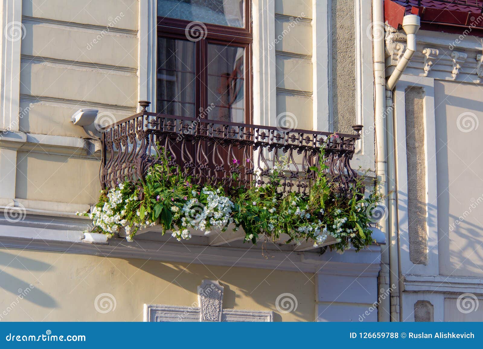 Balcony With Flowers And Shaped Wrought-Iron Railing Stock Photo - Image Of  Green, Balcony: 126659788