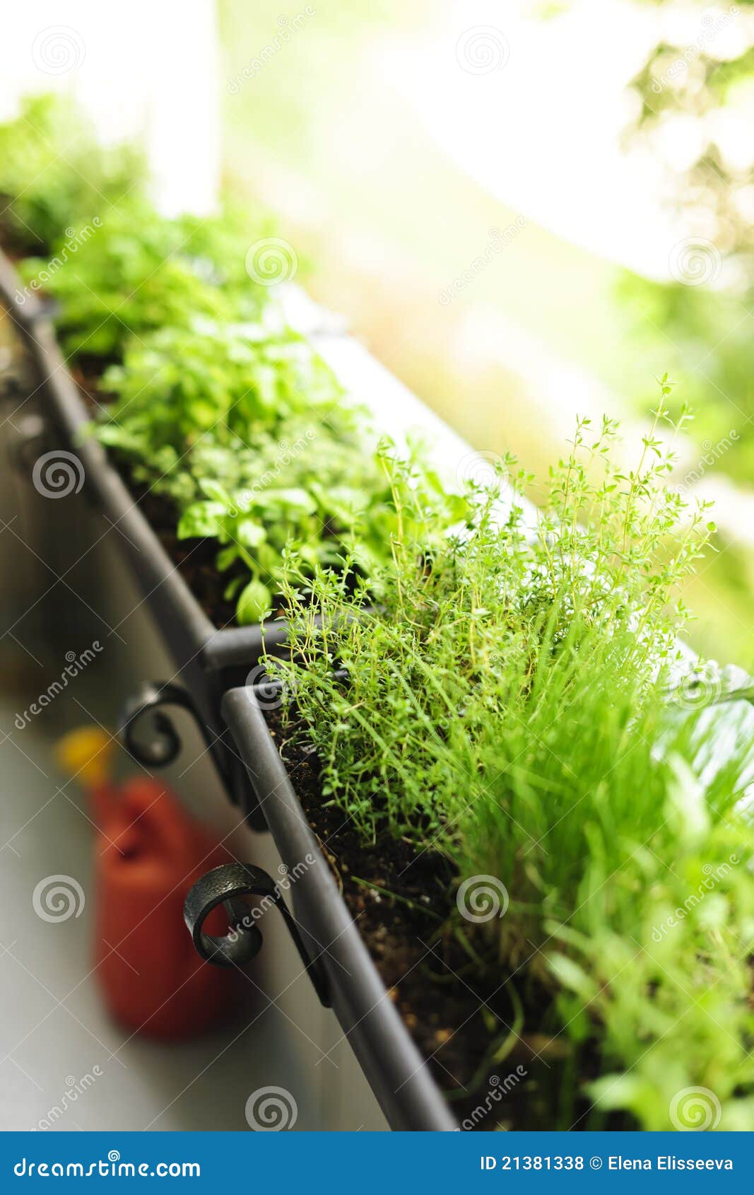 Balcony herb garden stock photo. Image of gardening, fresh 21381338
