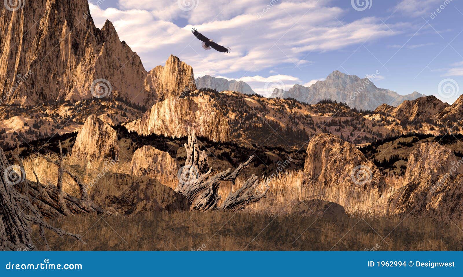 Bald Eagle in the Colorado Rockies Stock Photo - Image of utah, grass
