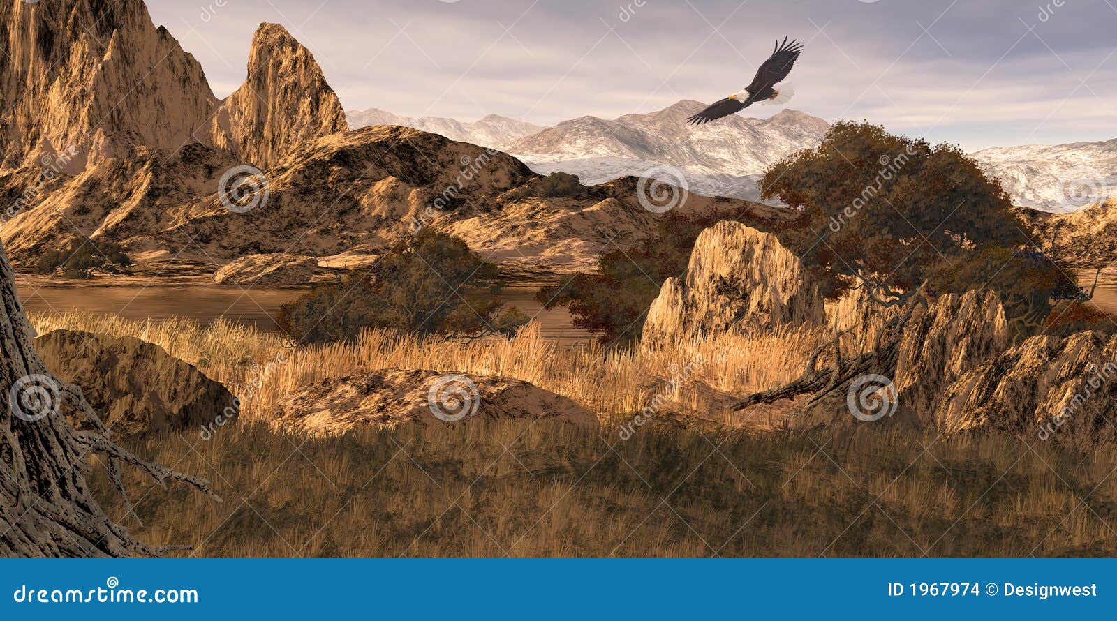 Bald Eagle in the Colorado Rockies Stock Photo - Image of pine, western