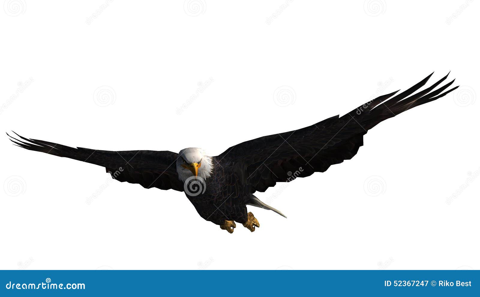 50,271 Background Eagle Stock Photos - Free & Royalty-Free Stock Photos  from Dreamstime