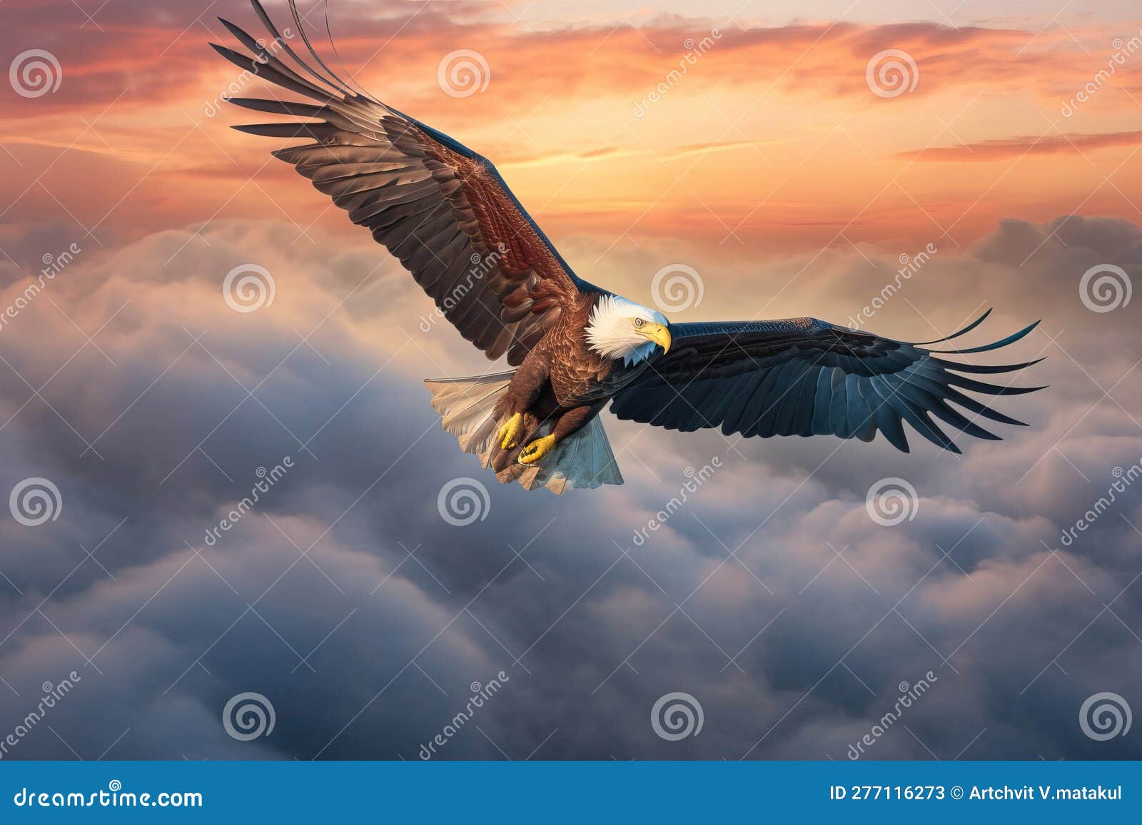 bald-eagle-flying-above-the-clouds-at-sunset-stock-illustration