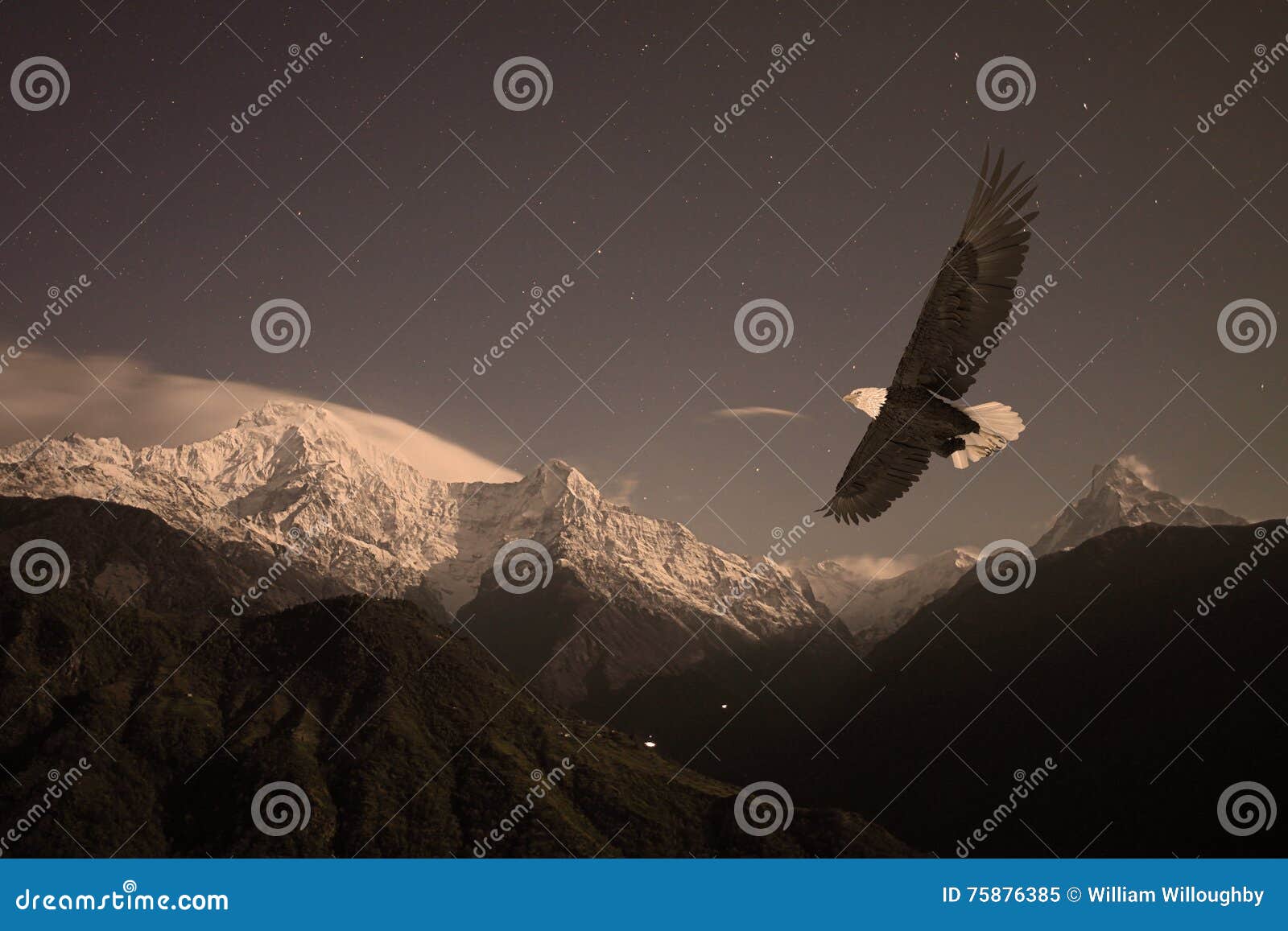 bald eagle flying over a mountain valley