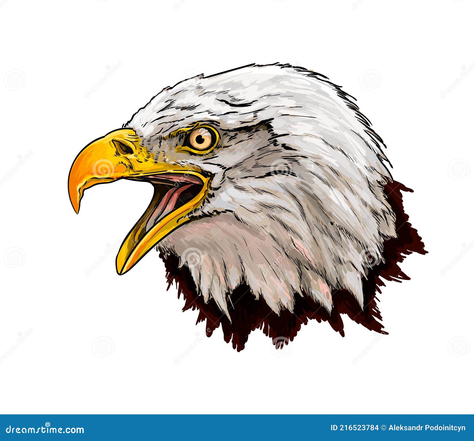20 Easy Eagle Drawing Ideas - How To Draw An Eagle - Blitsy