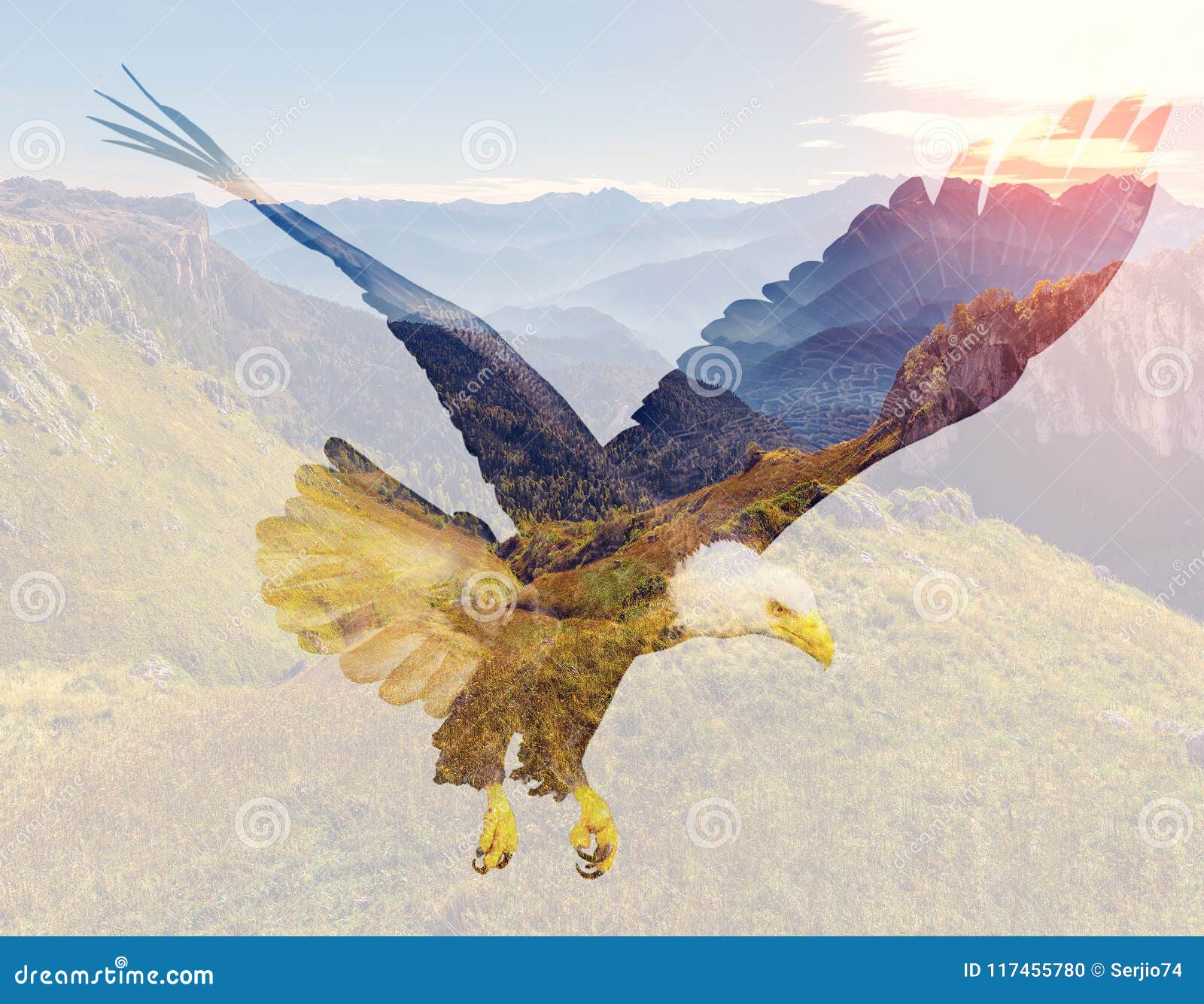 Bald Eagle on Mountain Landscape Background. Stock Photo Image of