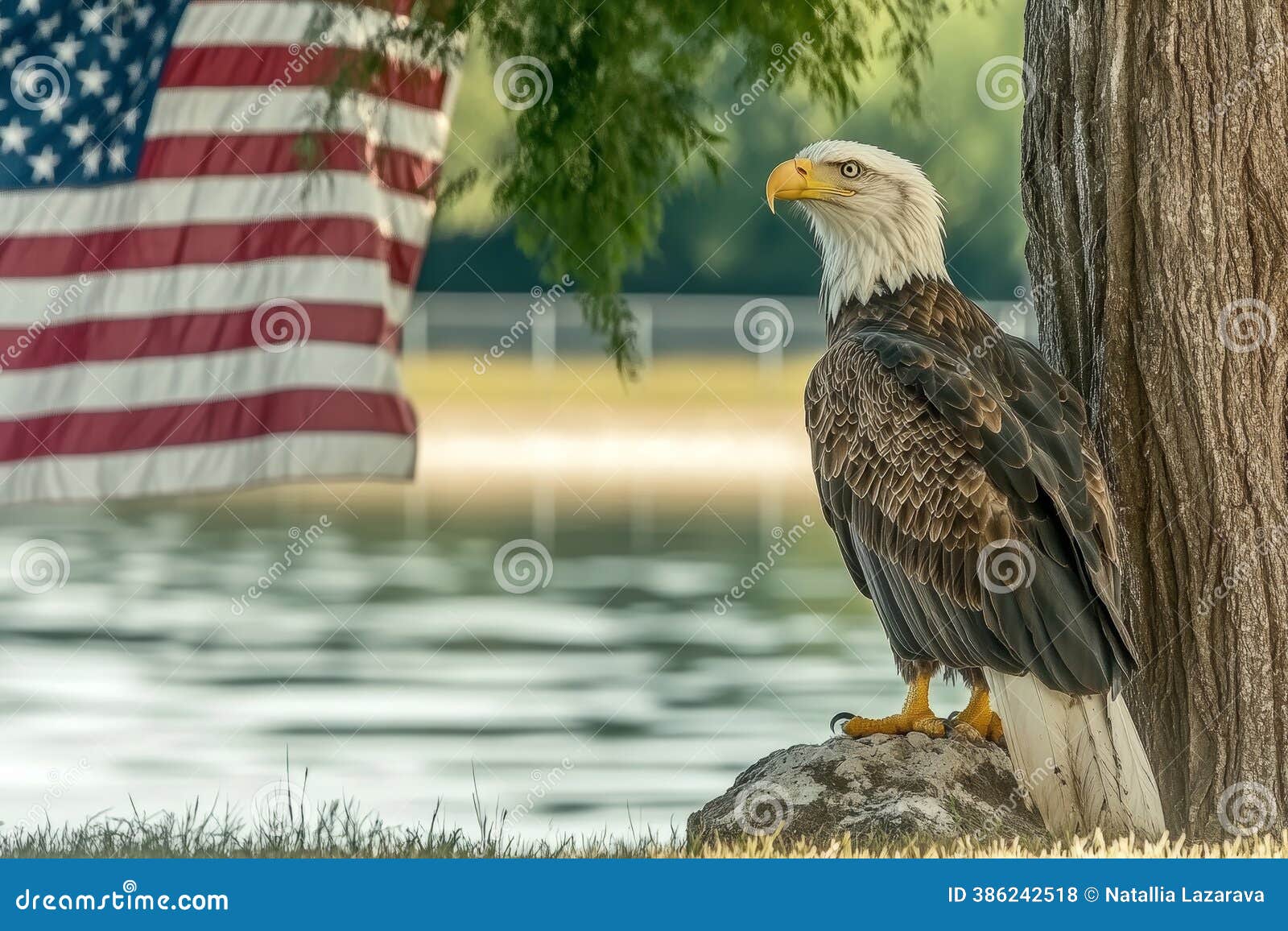 Bald Eagle Perched on a Rock beside a Flowing River, with an American Flag  Waving Gently in the Background, Symbolizing Freedom Stock Illustration -  Illustration of wings, reflection: 386242518, image size:1600x1156