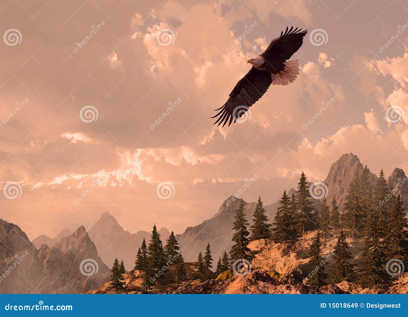 bald eagle soaring in the high country