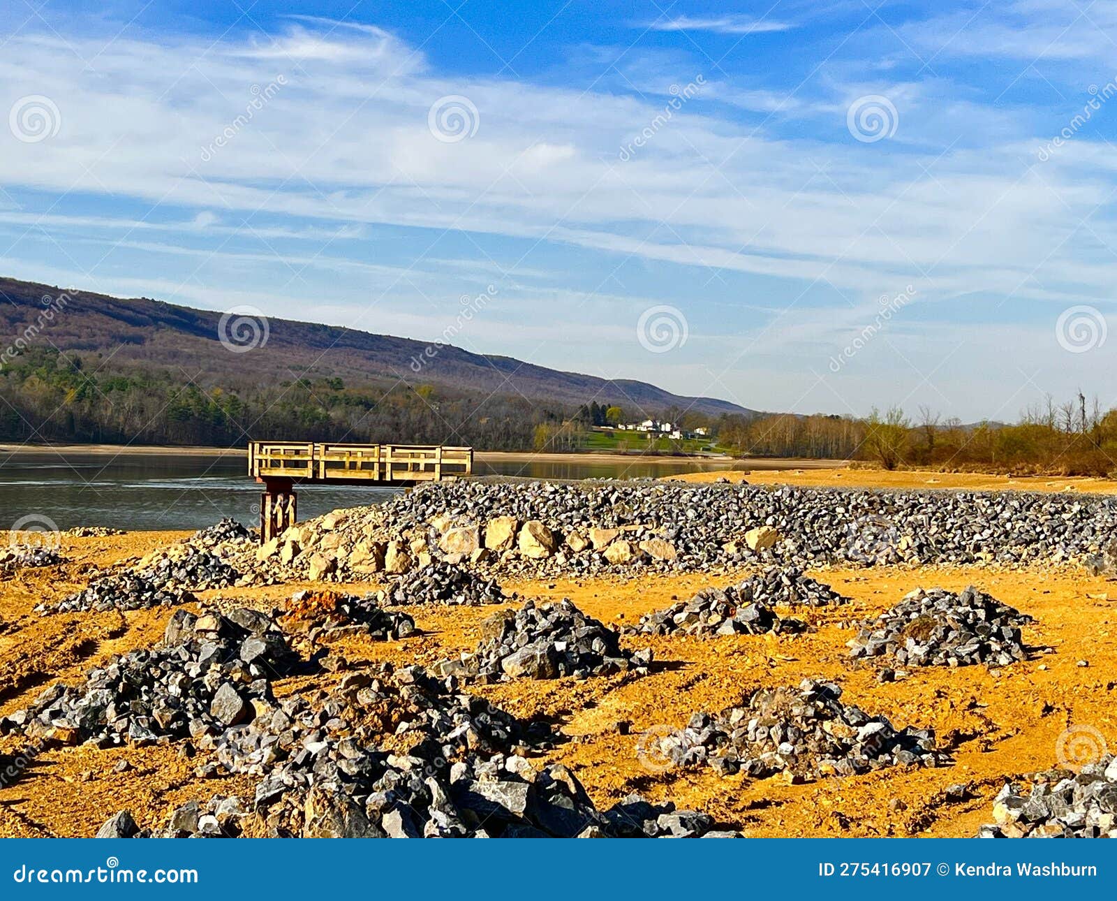 Bald Eagle State Park in PA Stock Image Image of park, tree 275416907