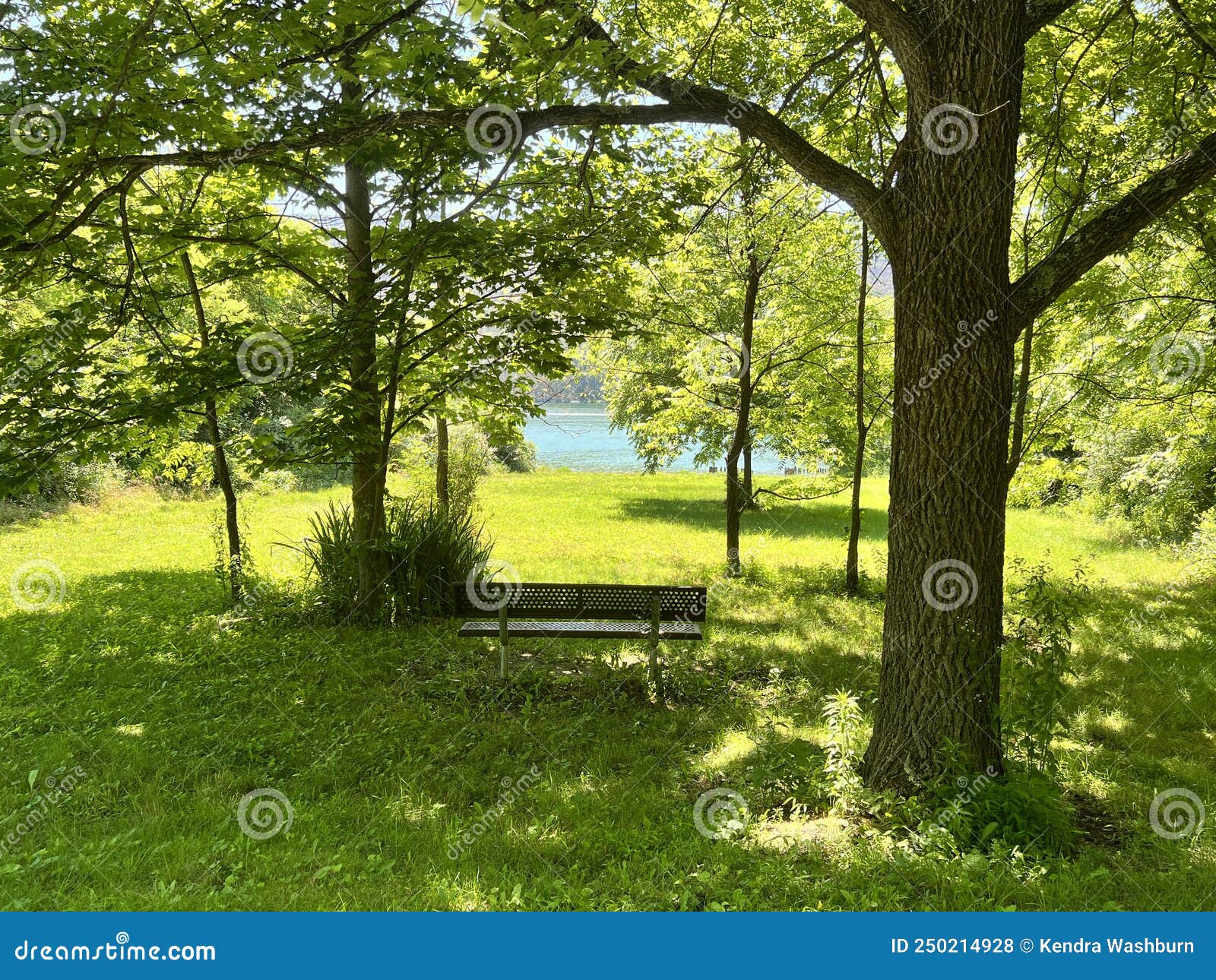 Bald Eagle State Park in PA Stock Photo Image of animals, area 250214928