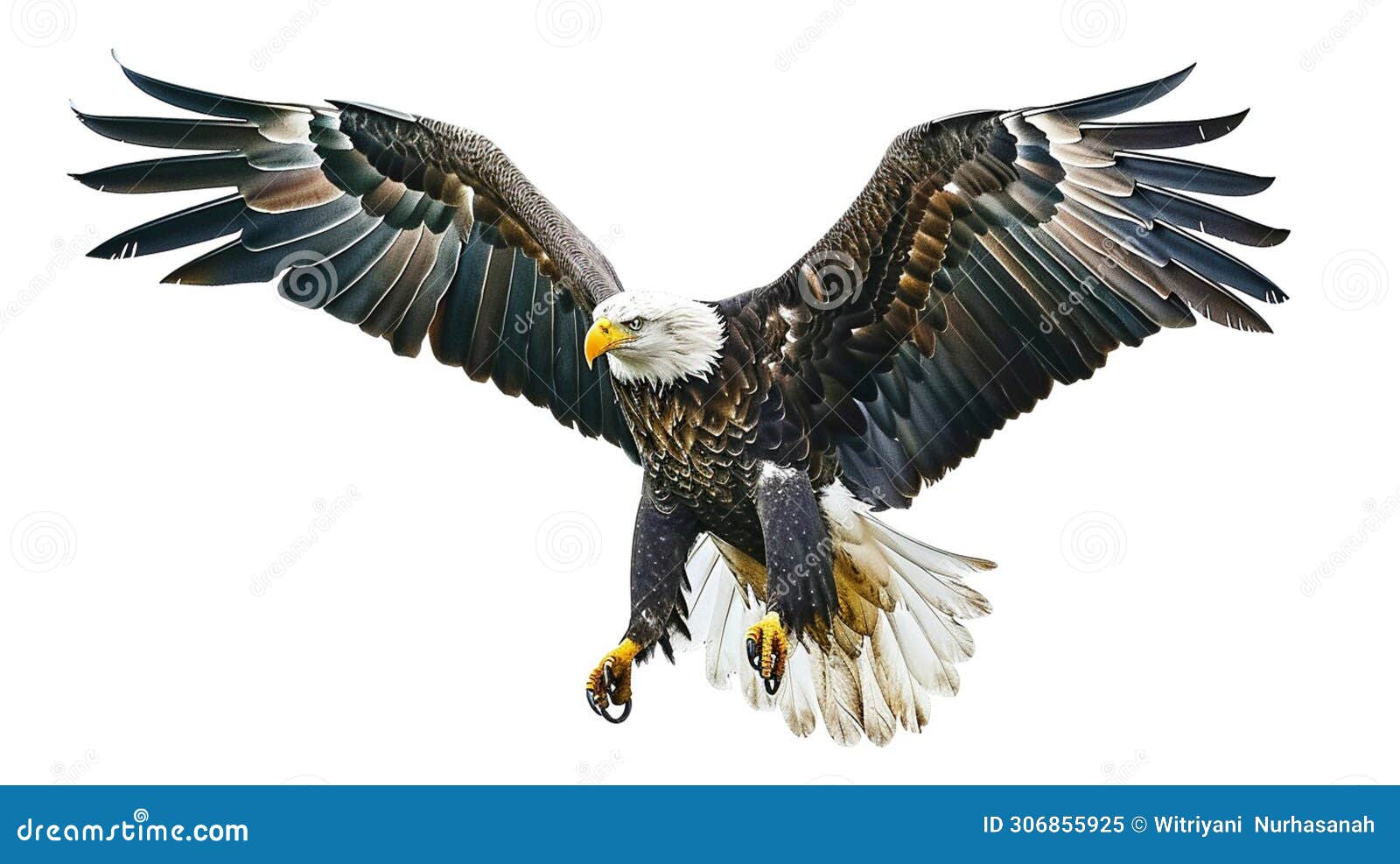 bald eagle swoop attack. bald eagle landing on white background. ai generative