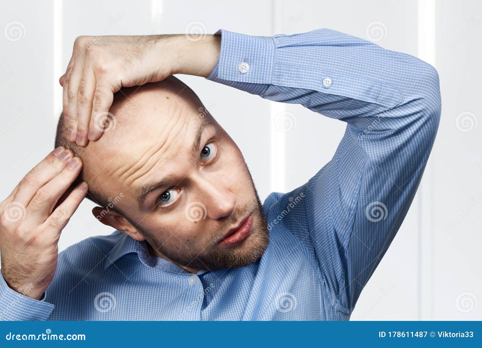 295 Bald Guy Grooming Stock Photos - Free & Royalty-Free Stock Photos from Dreamstime 295 Bald Guy Grooming Stock Photos - Free & Royalty-Free Stock Photos from Dreamstime