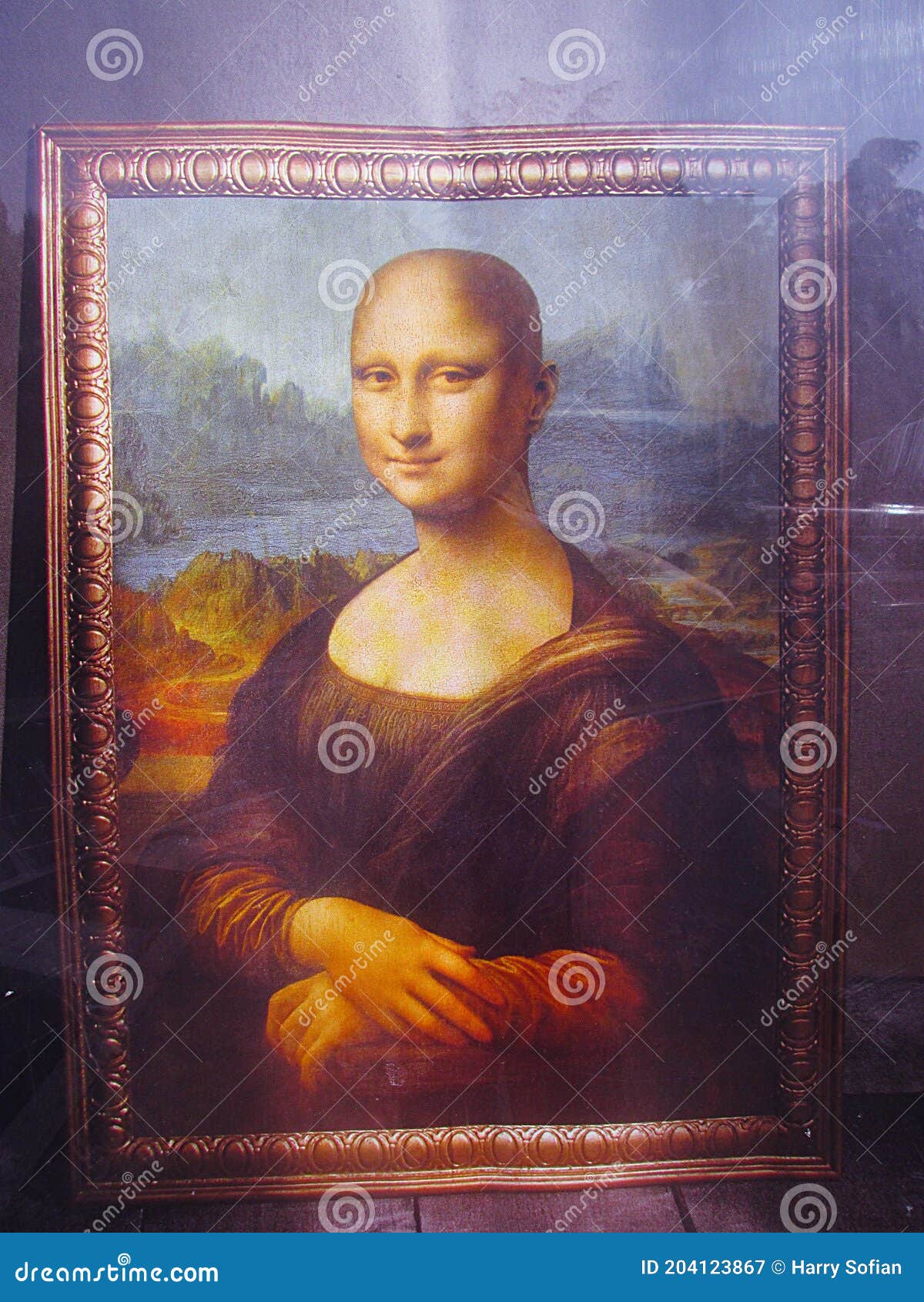 The bald Monalisa painting editorial photography. Image of famous