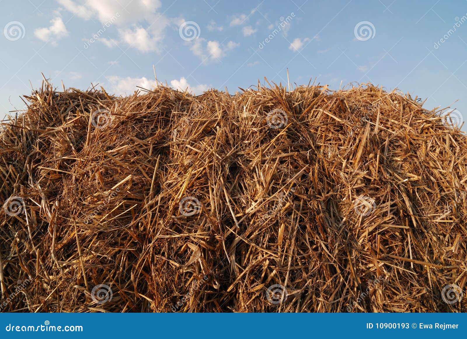Bale Roll stock image. Image of harvest, countryside 10900193