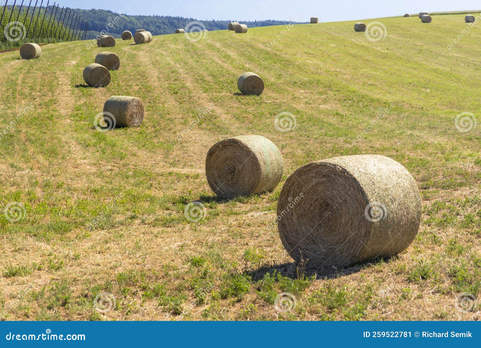 Bales of Hay on Field, Czech Republic Stock Image Image of bales