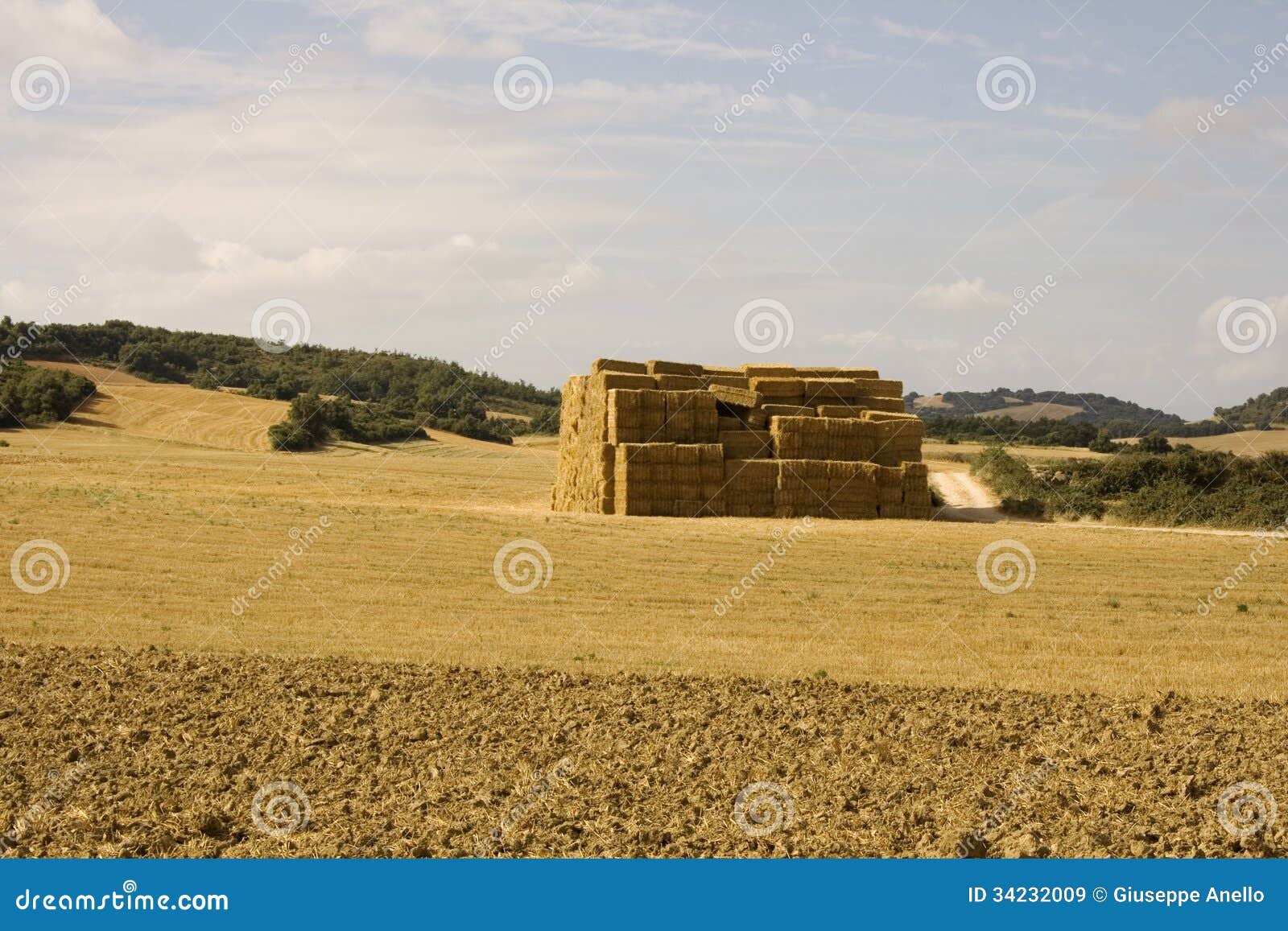 Bales of hay stock image. Image of countryside, farm 34232009