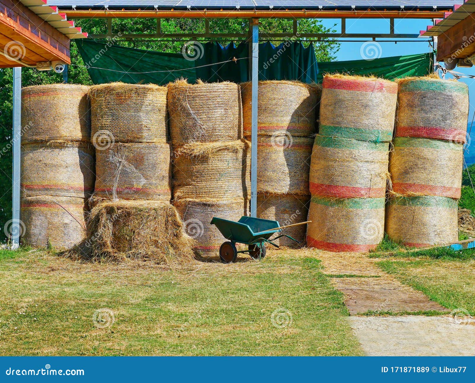 Bales of Straw Container in the Farm Stock Image Image of farm