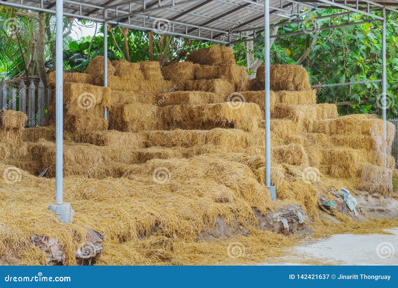 Bales of Straw in a shed stock image. Image of boards 142421637
