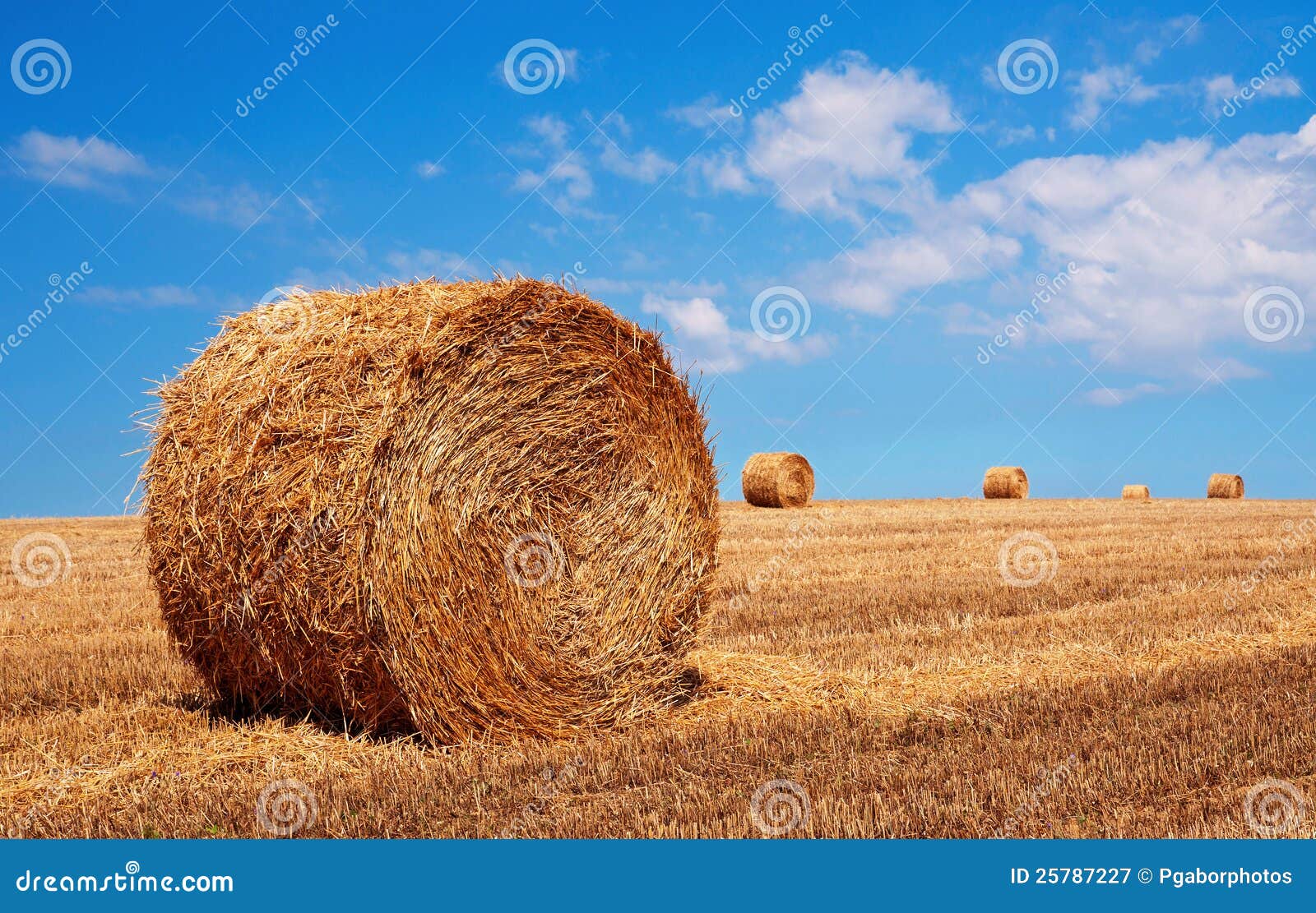Bales of Wheat in Summer Time Stock Image Image of field, bale 25787227