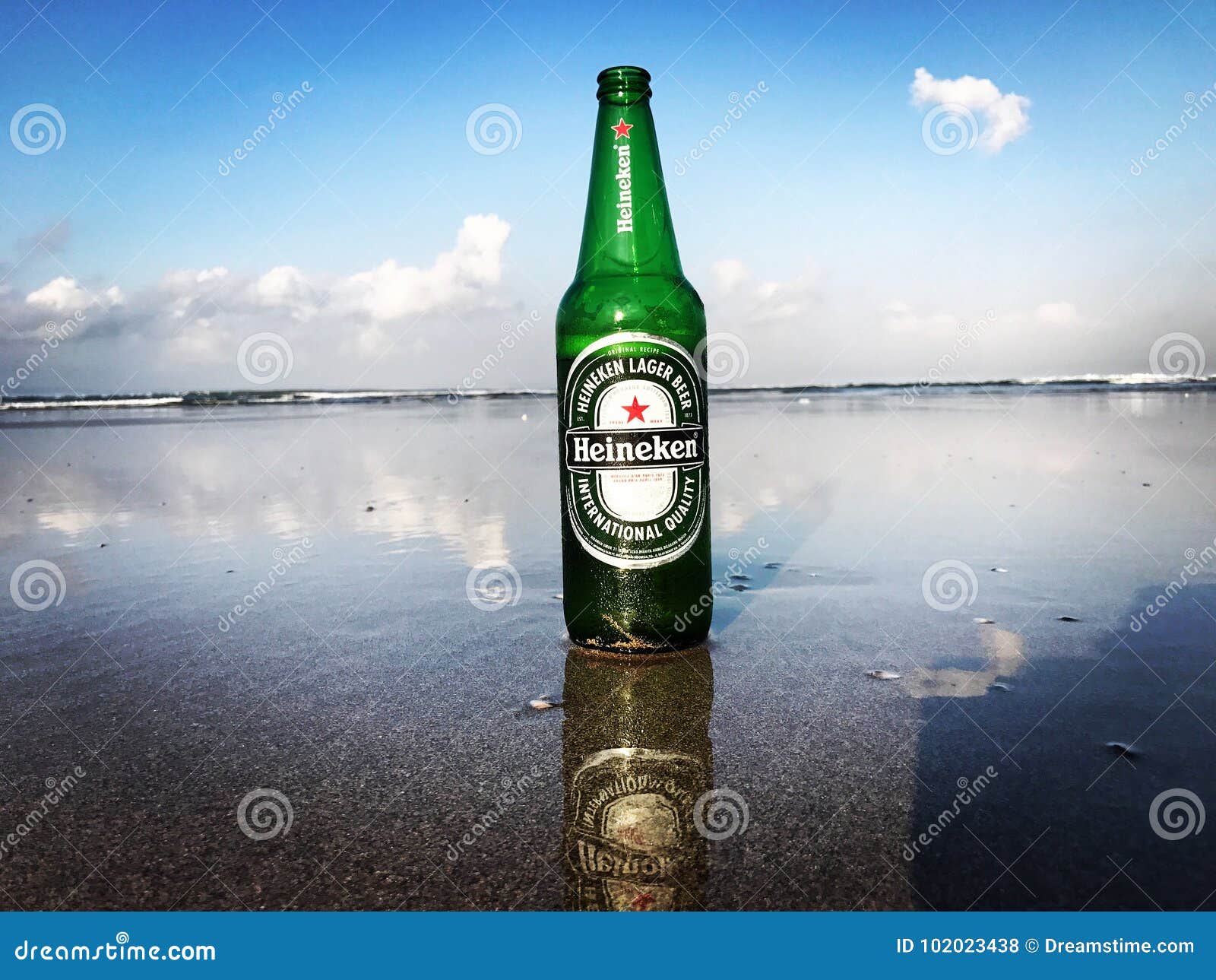 heineken beach cruiser