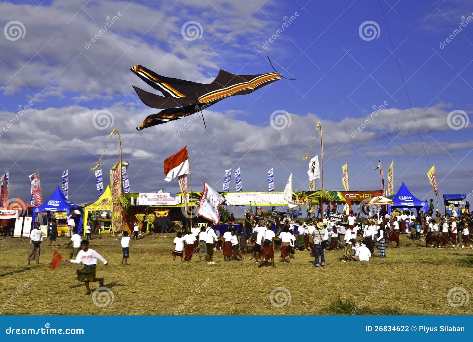Bali Kite Festival editorial photography. Image of flying 26834622