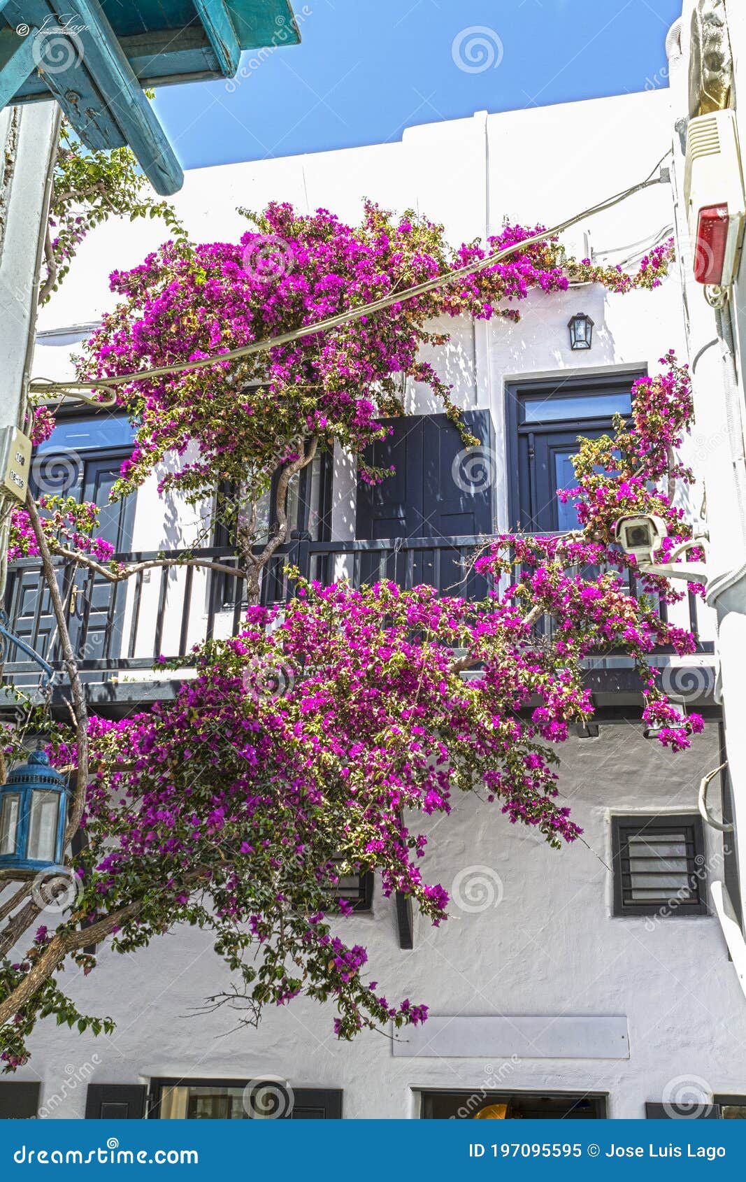 Auf Der Griechischen Insel Verziert Mit Hübschen Blumen Stockbild - Bild von ägäisch, balkon: 197095595