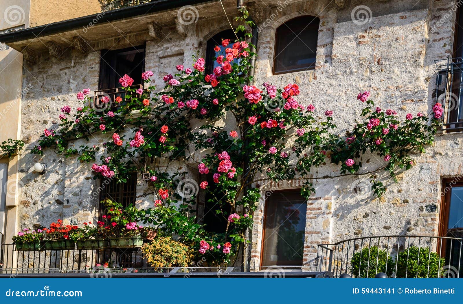 BalkonRosen bunt stockbild. Bild von stieg, balkone 59443141