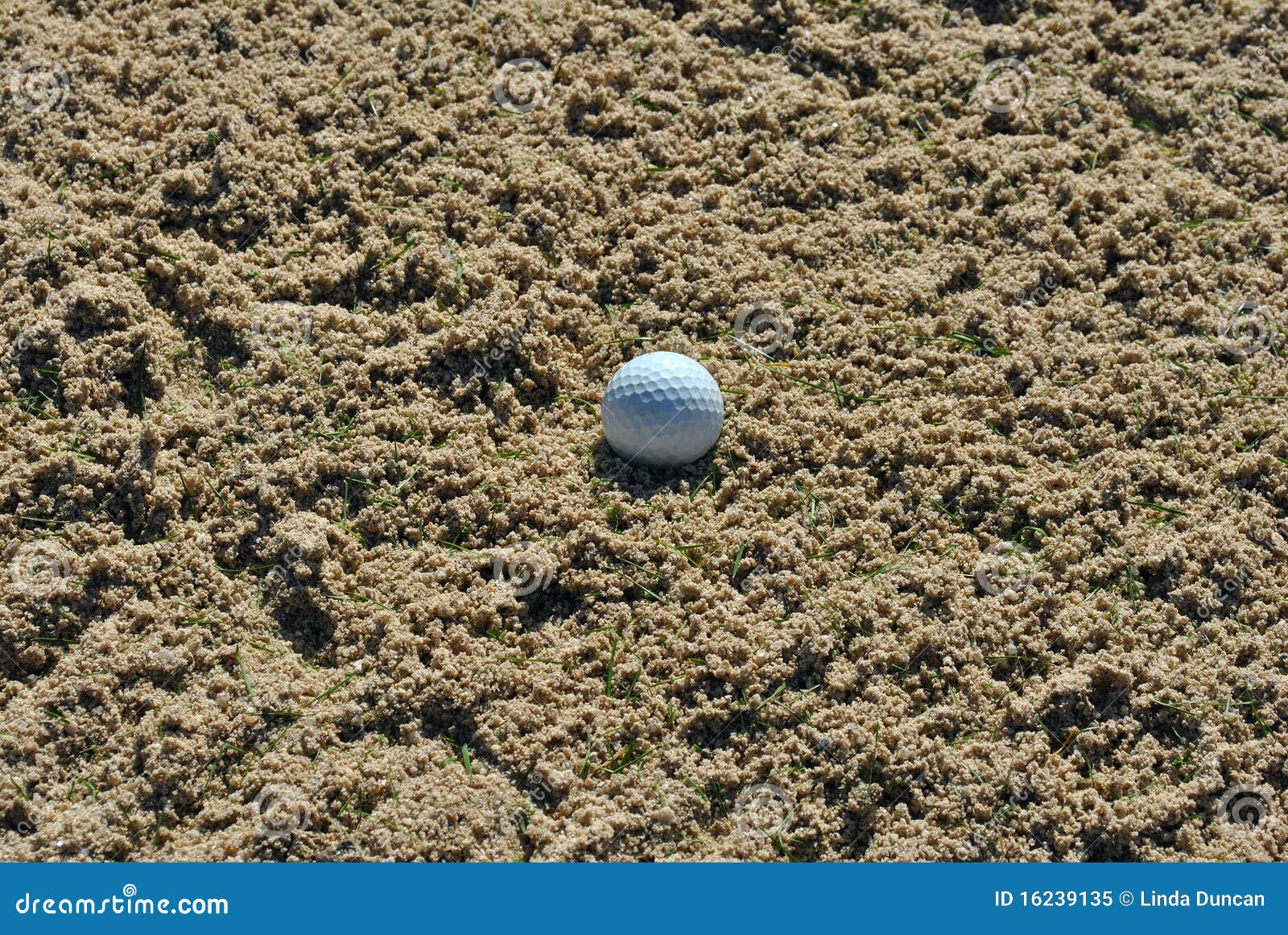 Ball in bunker stock image. Image of rough, club, ball 16239135