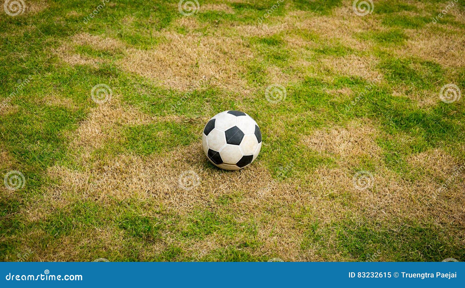Ball on lawn stock image. Image of lawn, competition 83232615