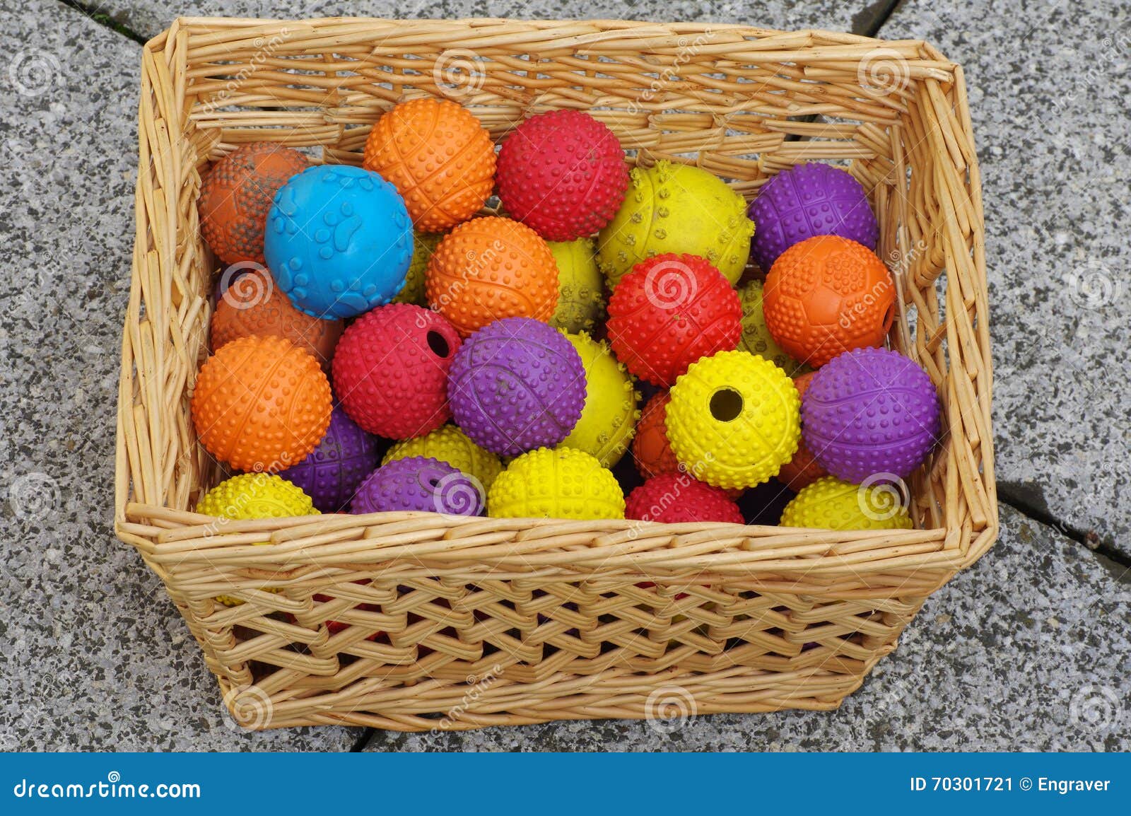 Ball Toy for Dogs Basket Wicker Stock Image Image of color, bite