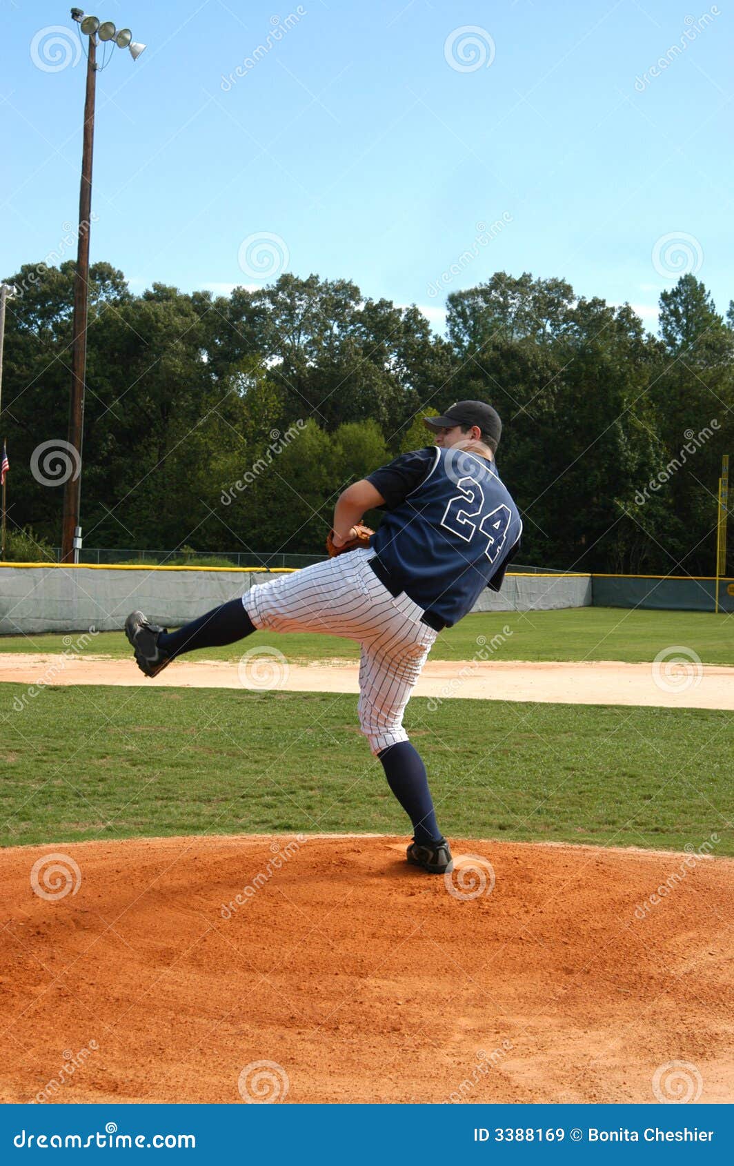 Ball Windup stock image. Image of glove, grass, team, pitching 3388169