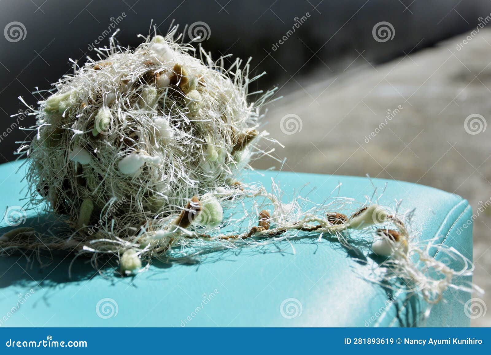 Ball of Wool Under the Pouf in the Backyard Stock Image Image of