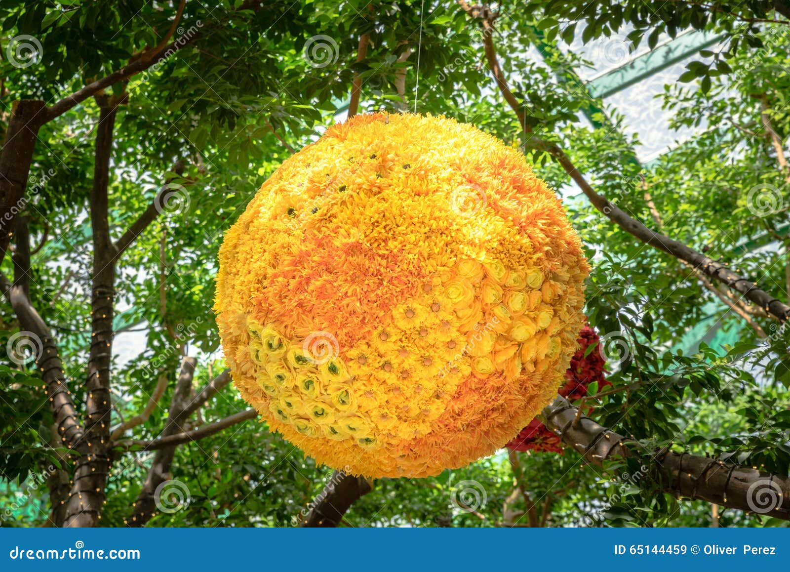Ball of yellow flowers stock image. Image of landscaping 65144459