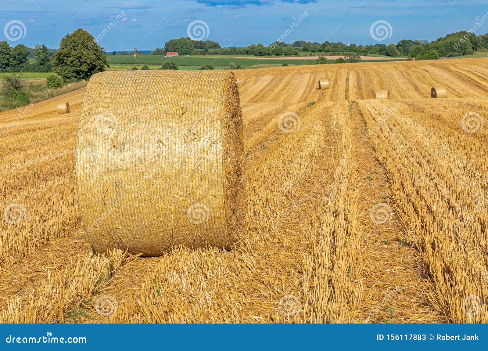 Balle da fieno. Balbe da fieno su un campo in Baviera, Germania