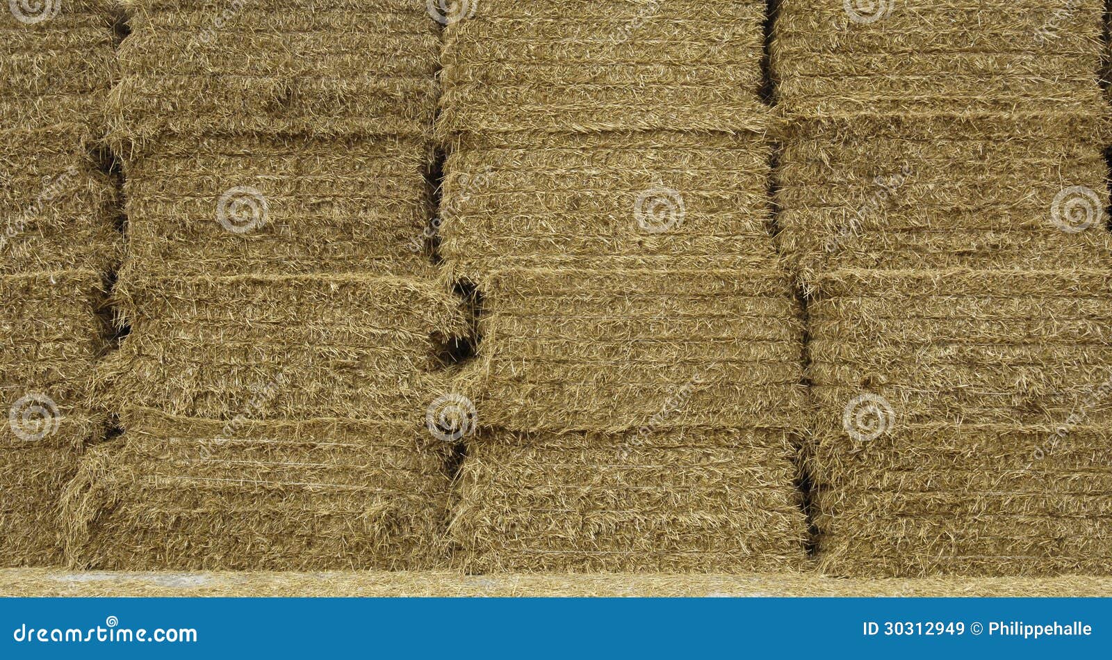 Cuori Di Paglia Floracraft - Decorazioni Rustiche 10cm In Paglia Naturale Messicana - Foto 6