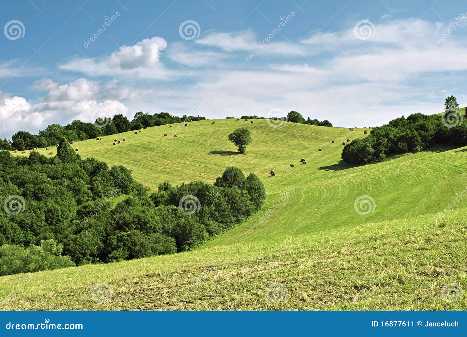 Balle sole di fieno e dell'albero sotto cielo blu. Bella priorità bassa - il sommer ritardato nello sbarco collinoso di agricoulture, le balle di fieno sta ponendo sui pendii con l'albero verde nella metà. La Slovacchia, Europa. ICC profilo AdobeRGB