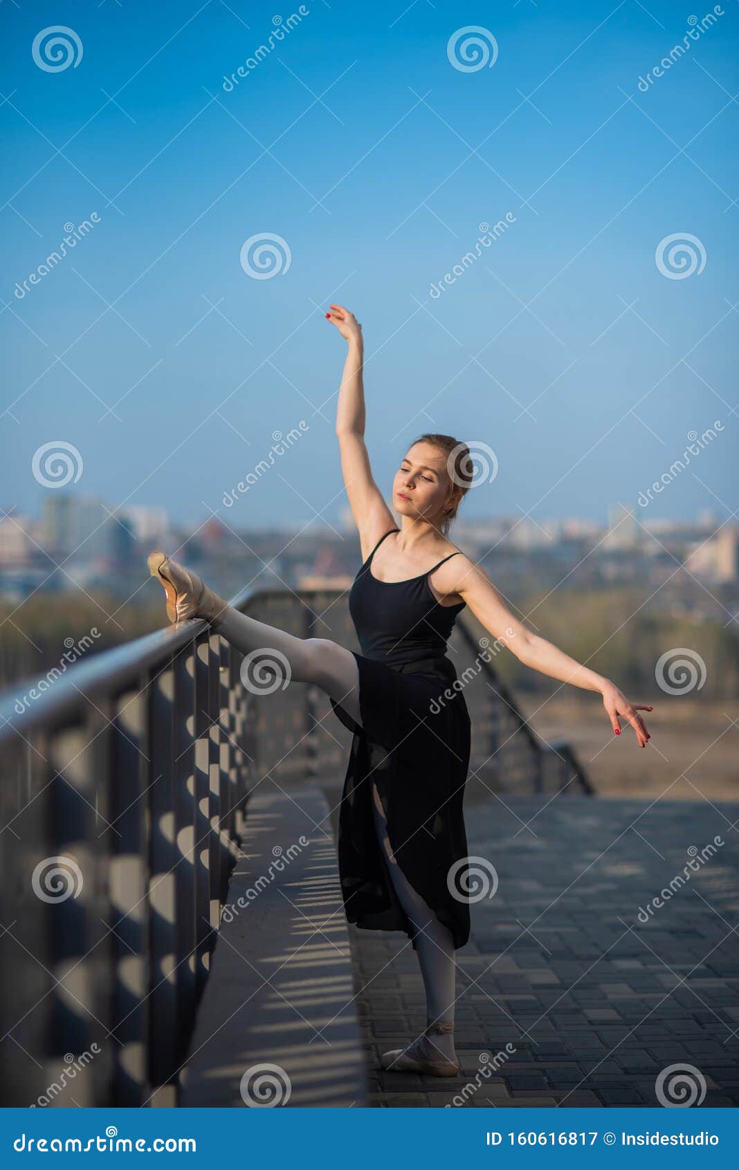 Ballerina in a Tutu Posing Near the Fence. Beautiful Young Woman in ...