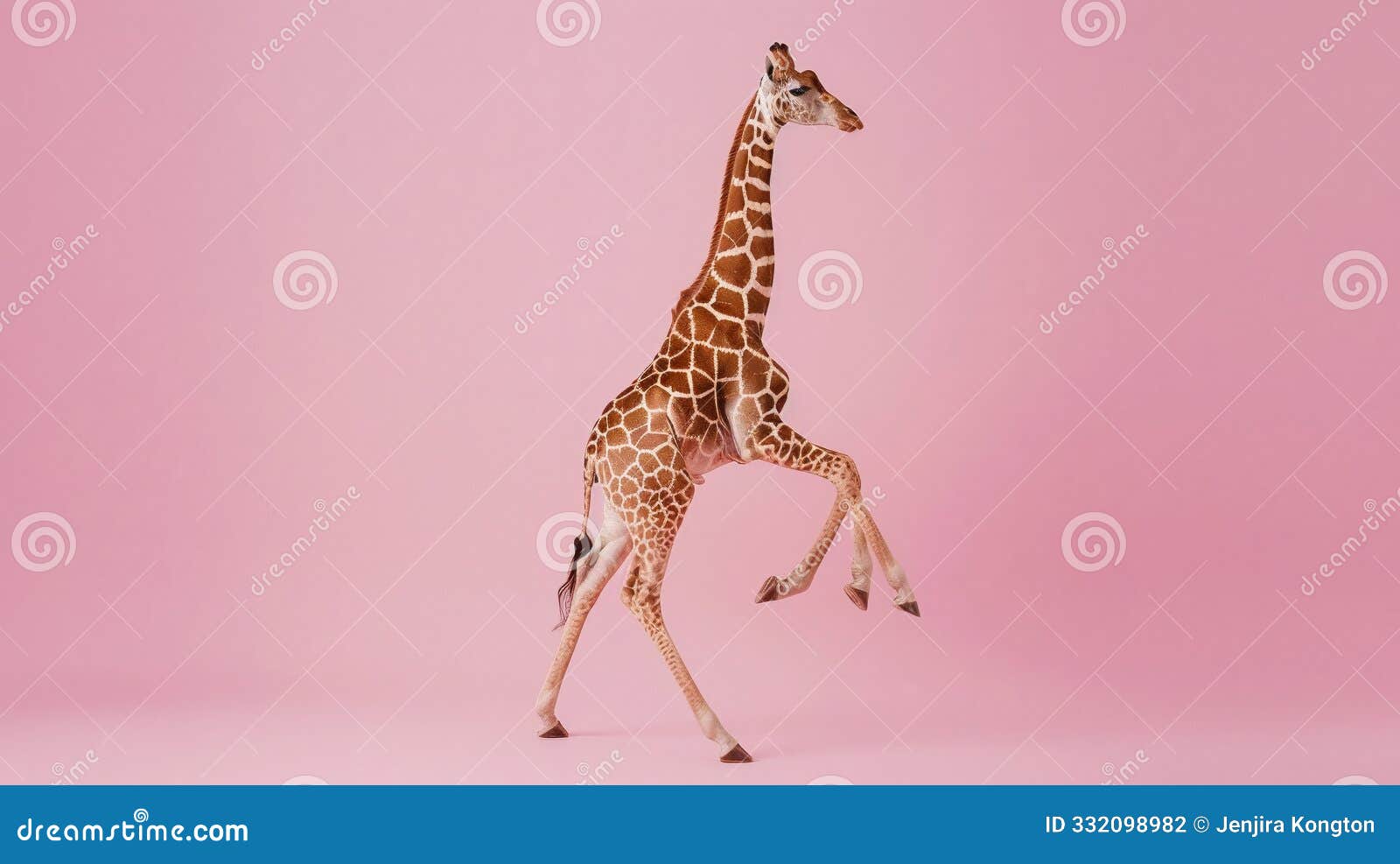 a graceful giraffe walking elegantly against a soft pink backdrop, showcasing its unique patterns and long neck.