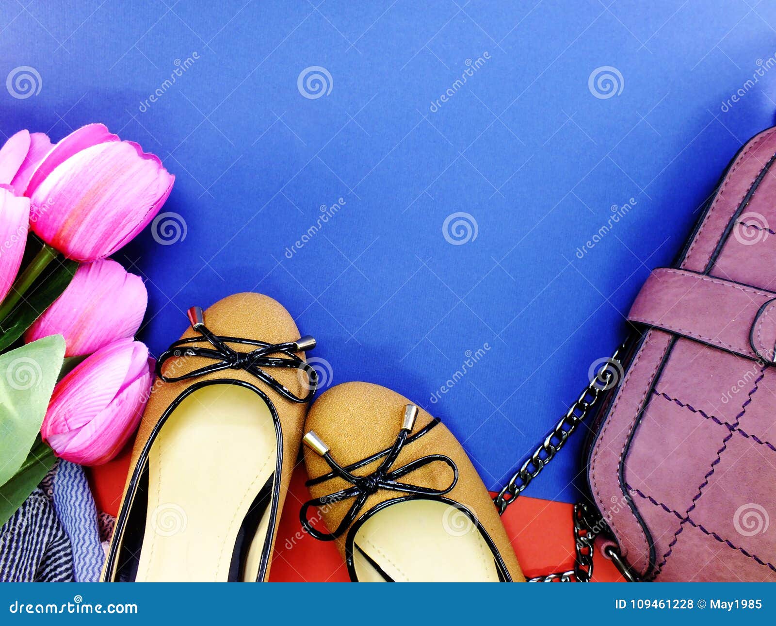 Ballet Flat Lady Shoes and Purple Bag on Blue Background Stock Photo ...