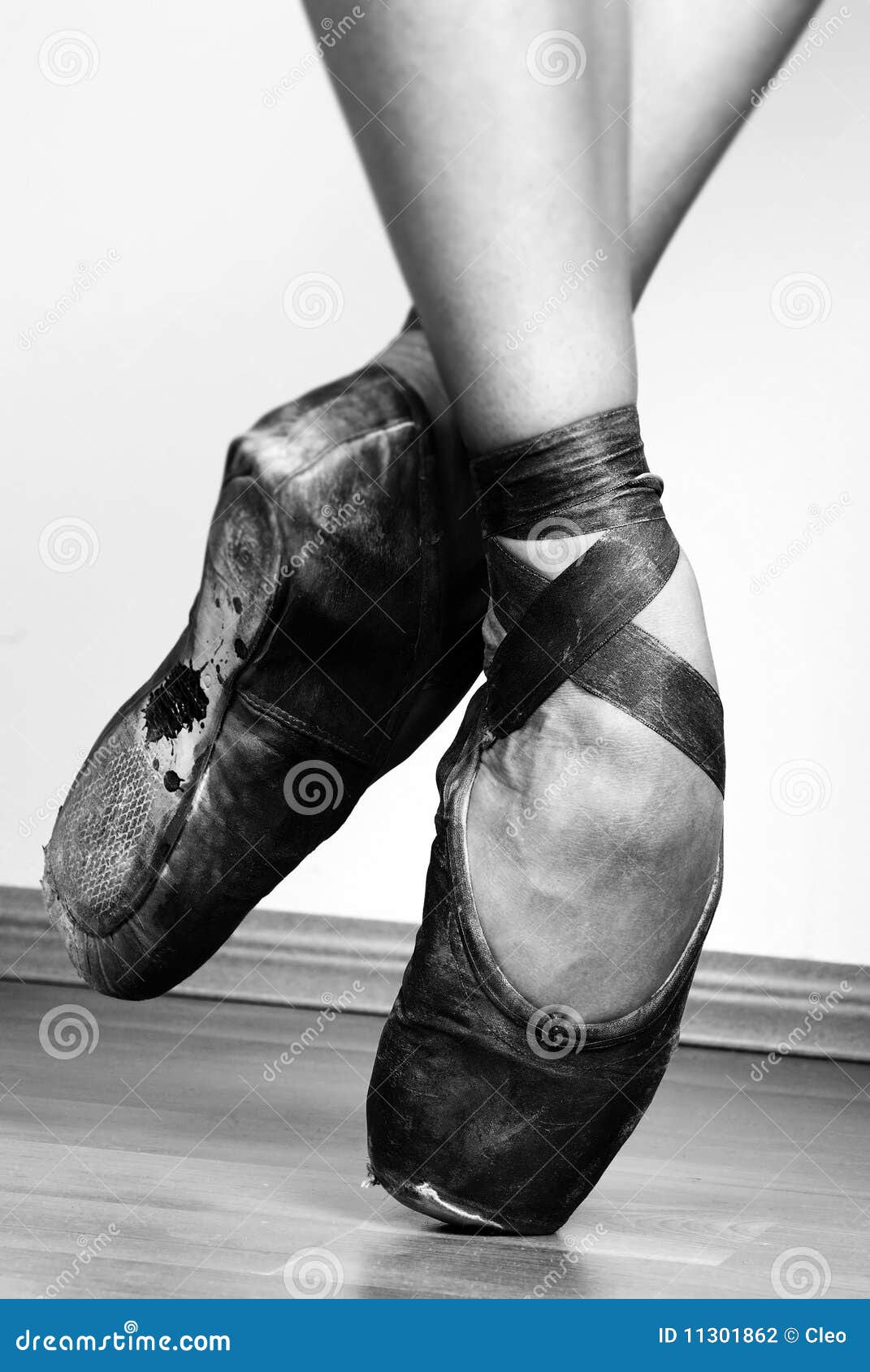 Ballet Shoes stock photo. Image of foot, arch, dancer - 11301862