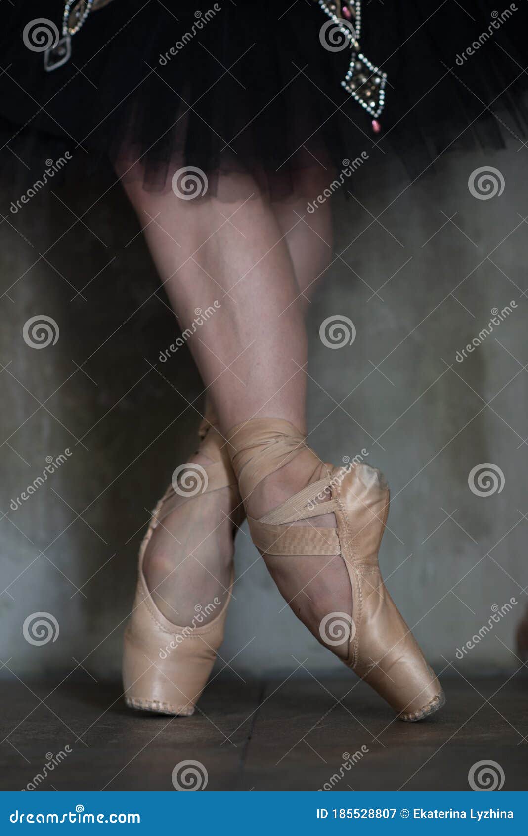 ballet shoes by prima ballerina and her legs