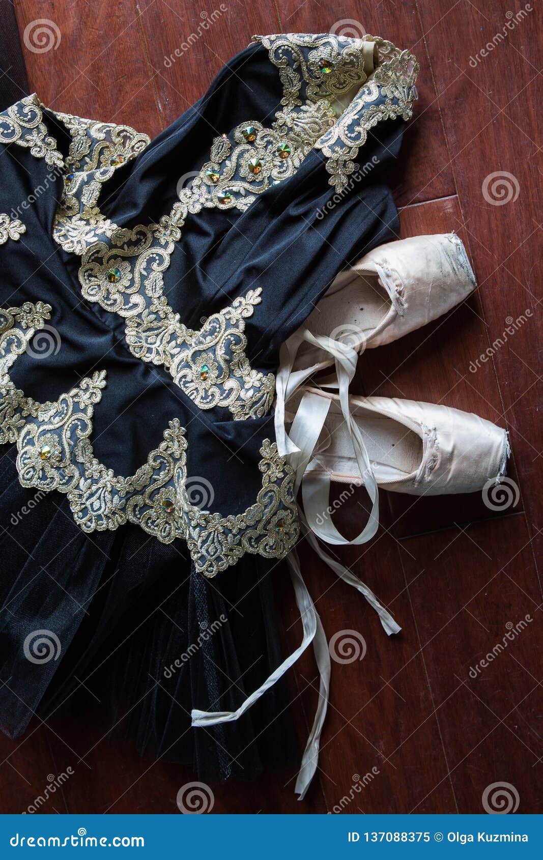 ballet shoes and tutu